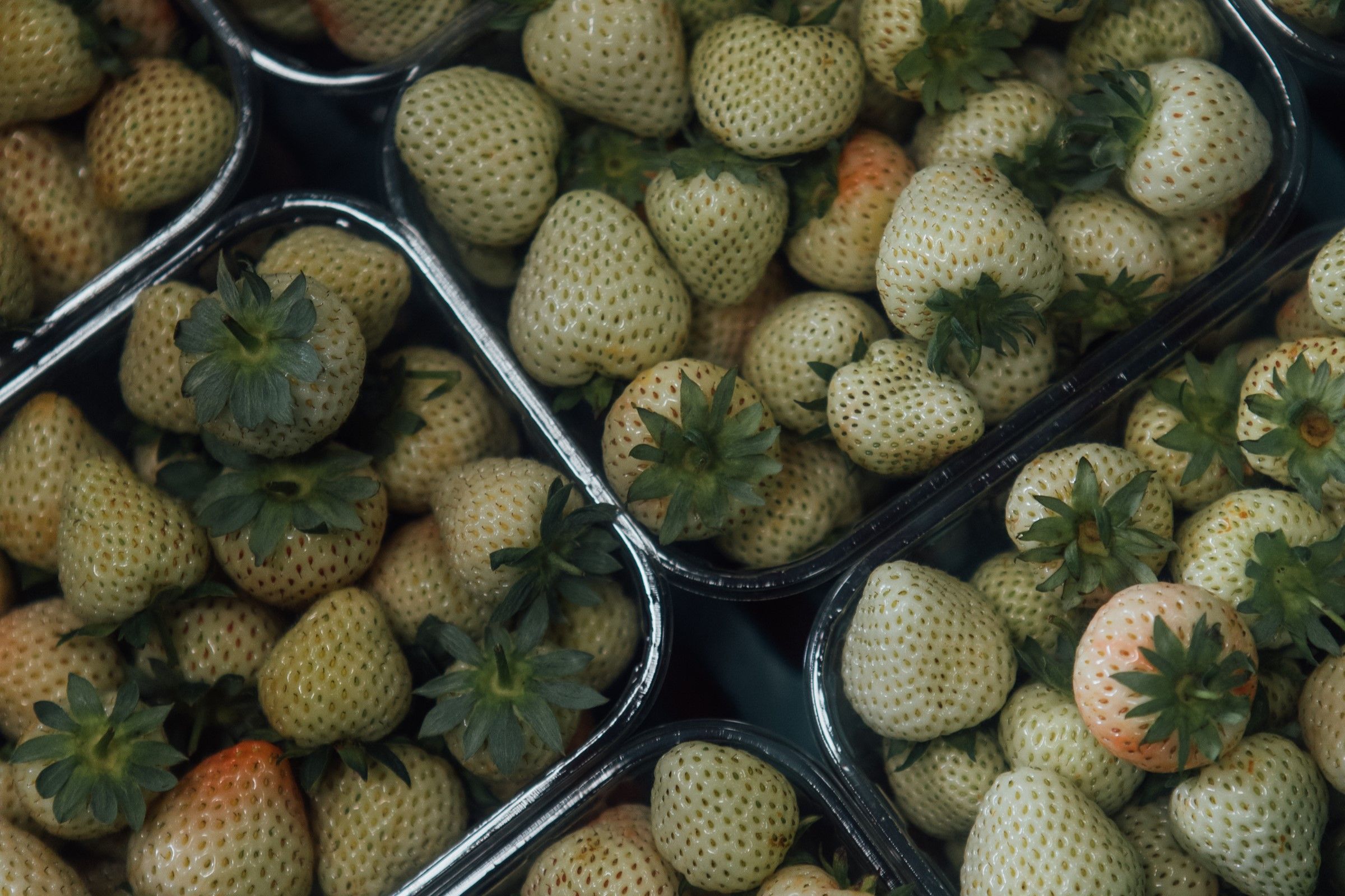 Image of Contact & Find Us