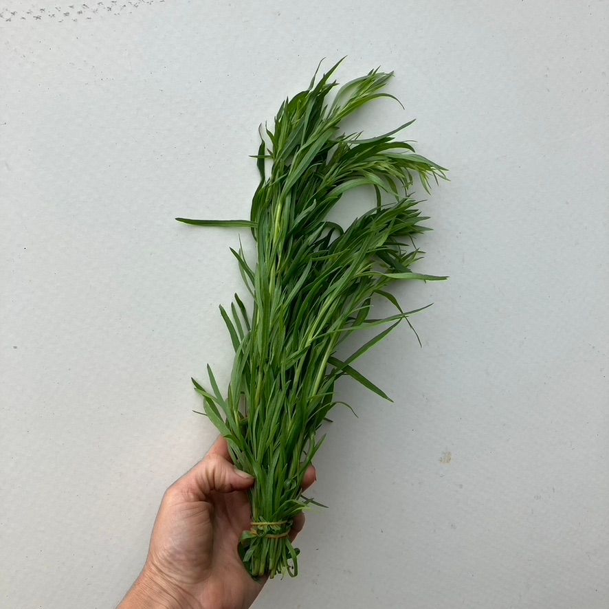 Russian Tarragon