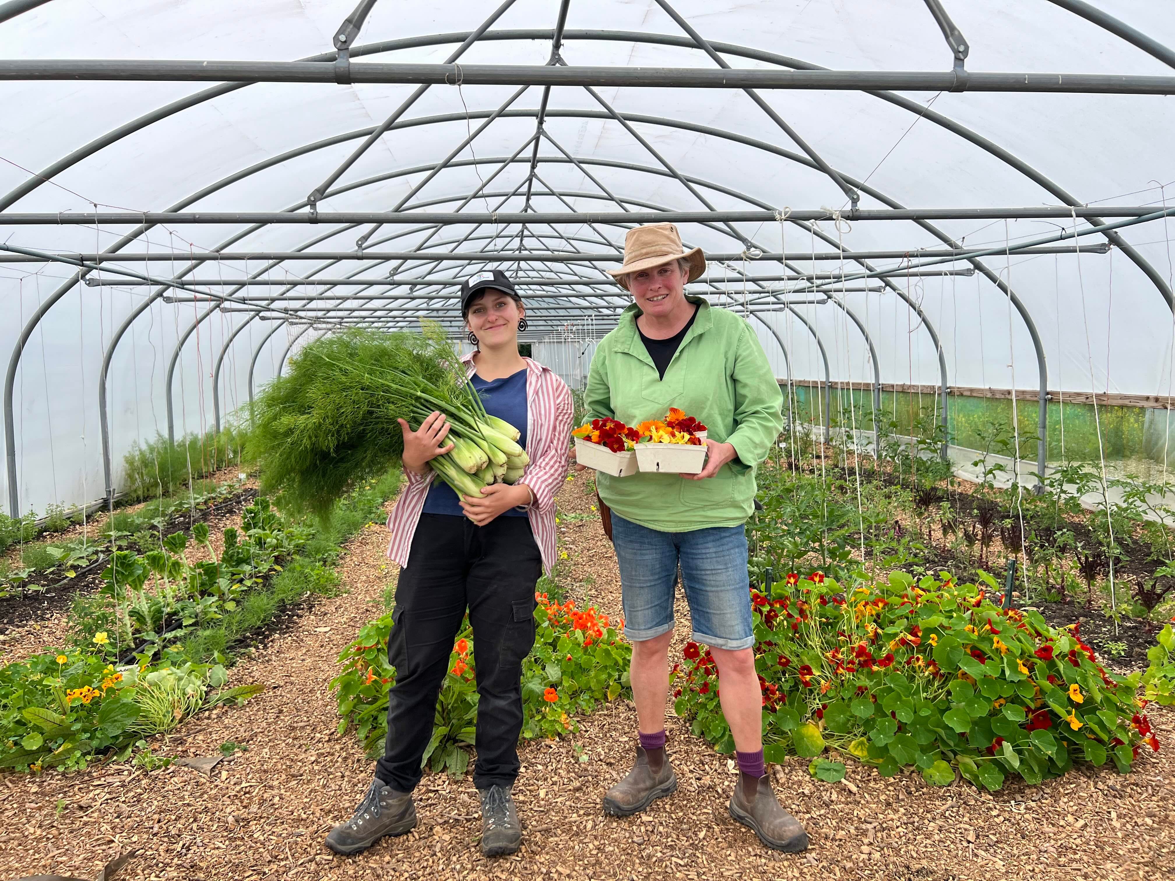 Image of Work with us