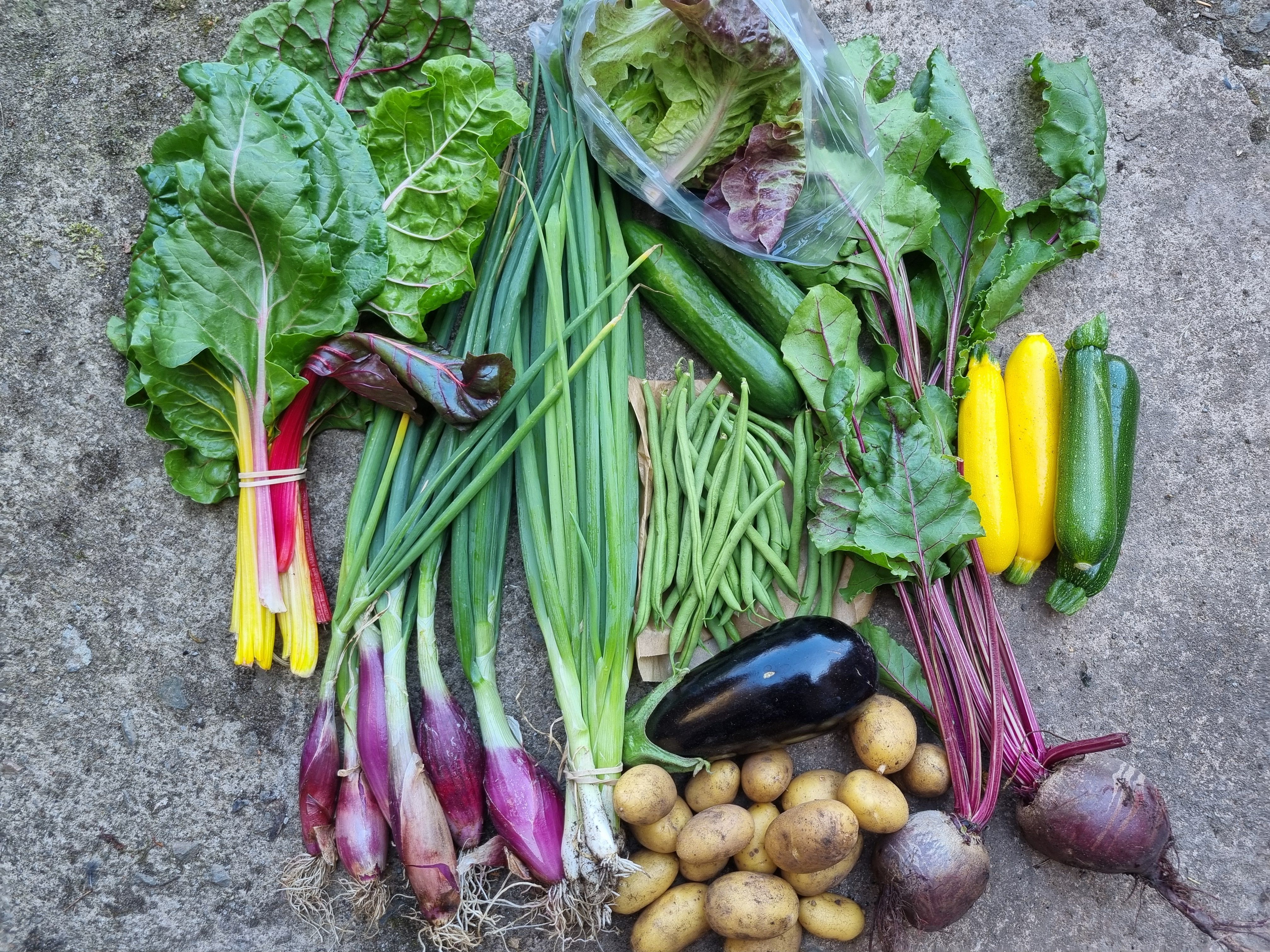 Large Veg Box