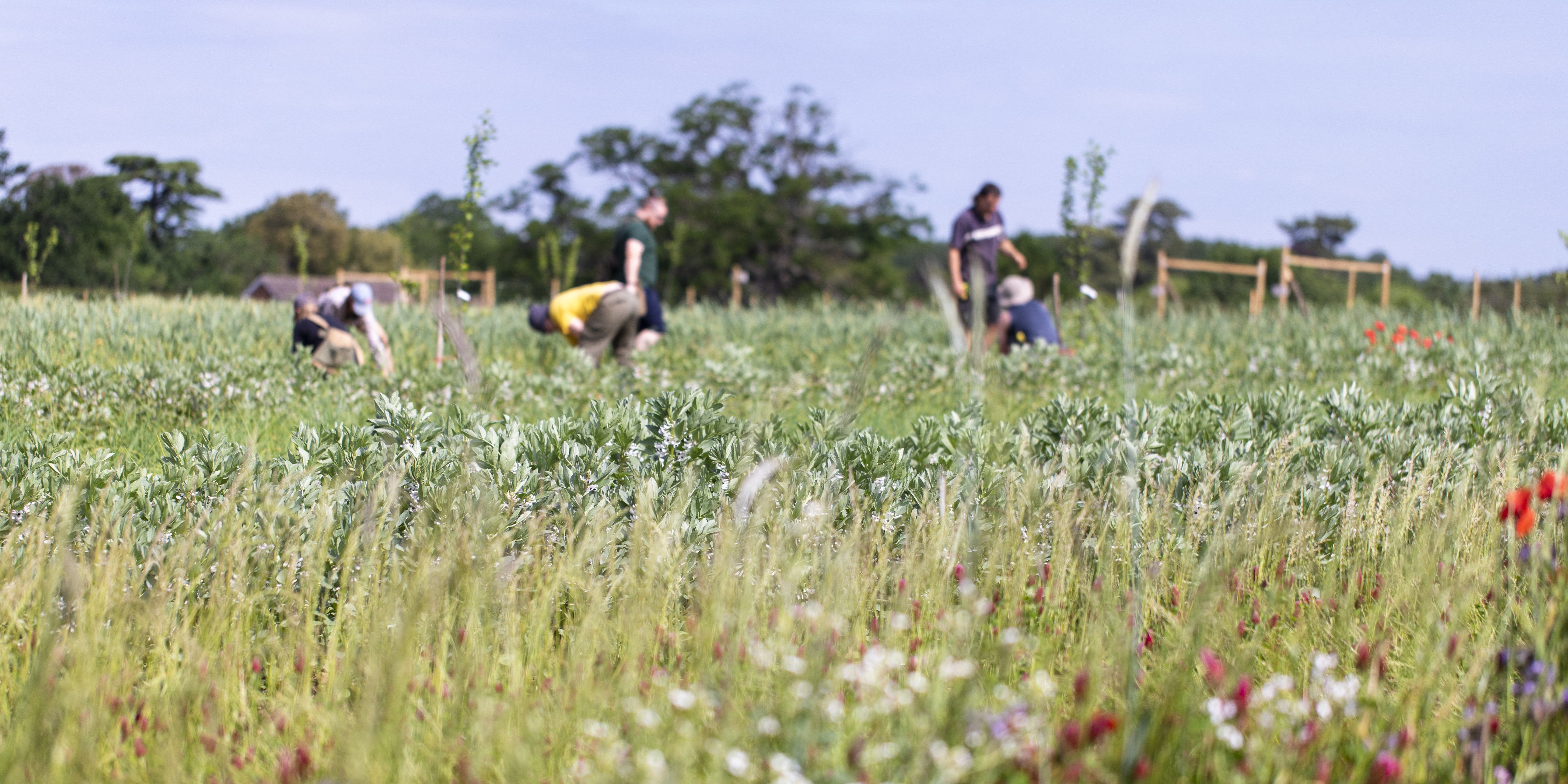 Image of Meet the Team