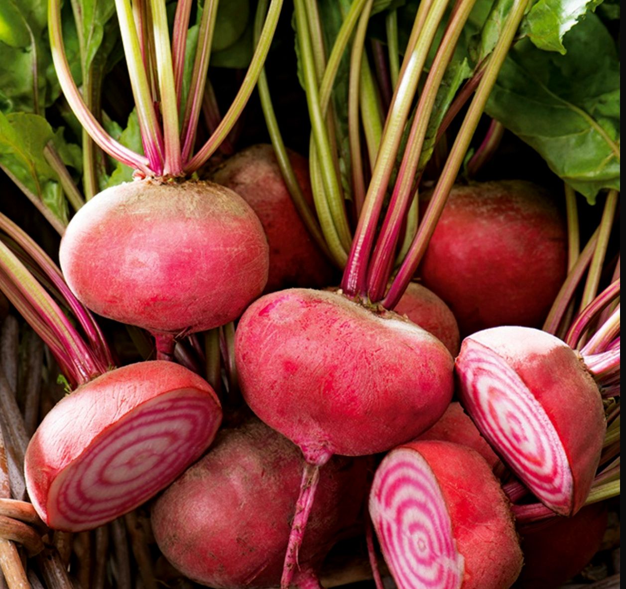 Beetroot [Chioggia]