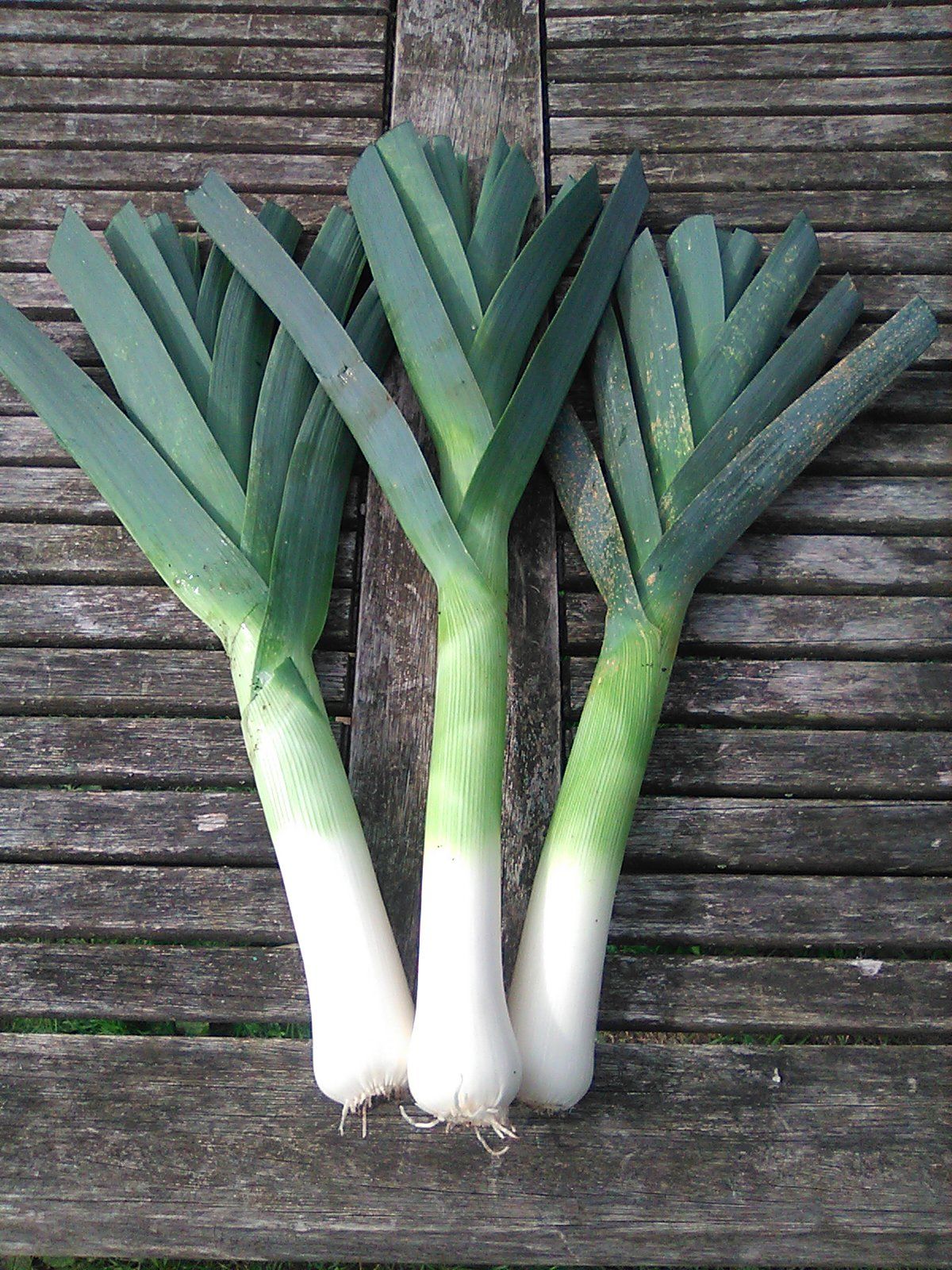 Leeks
