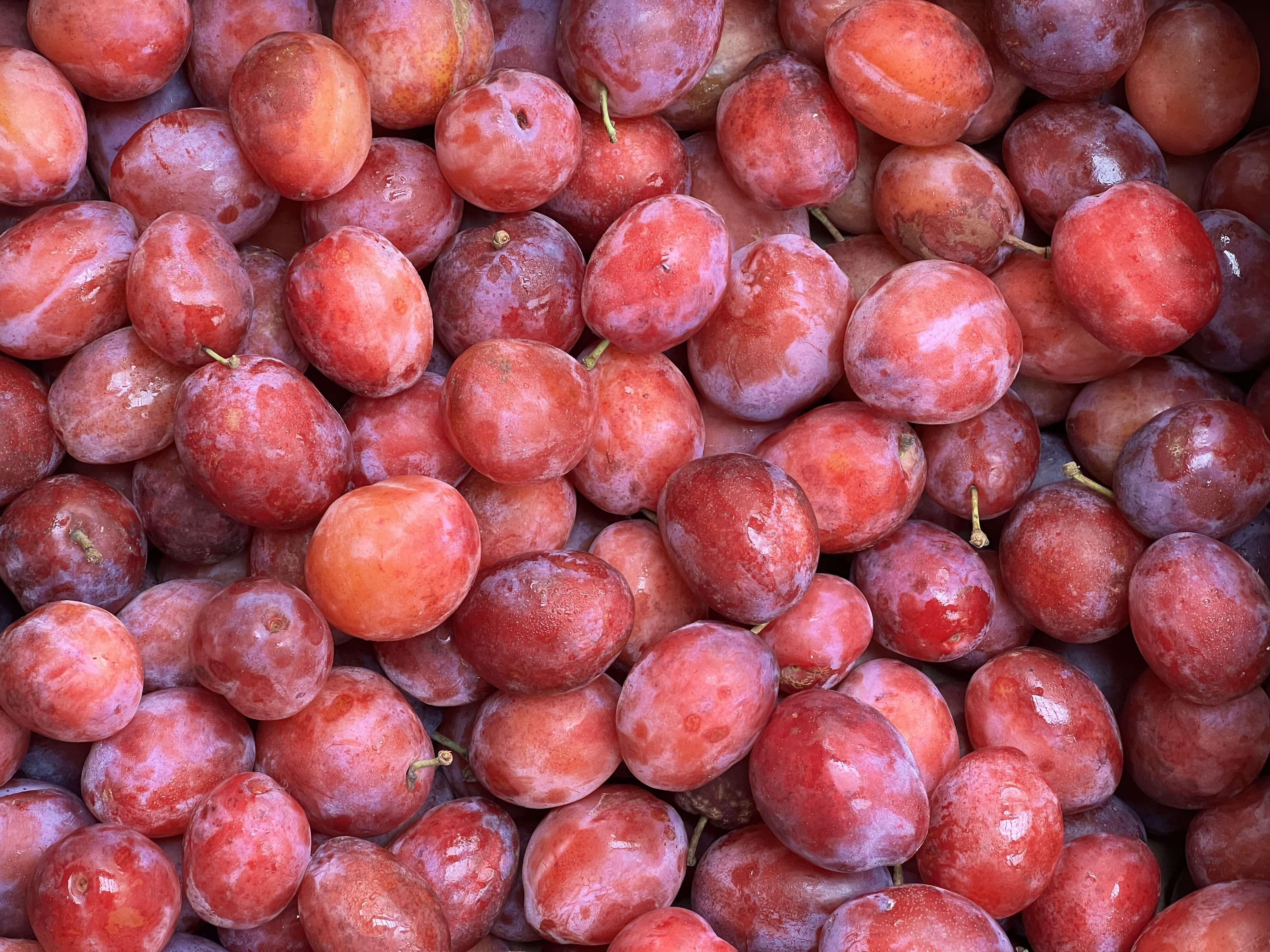 Image of Plum - Victoria (Organic) 400g