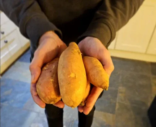 Sweet potatoes