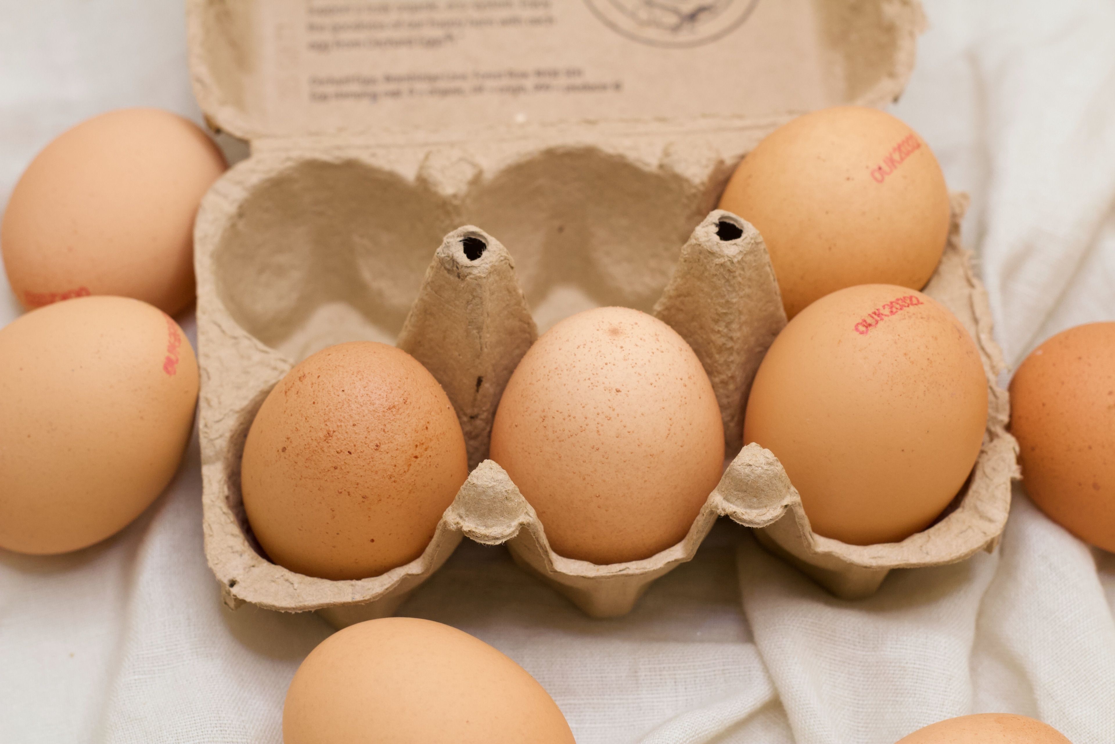 Image of Eggs