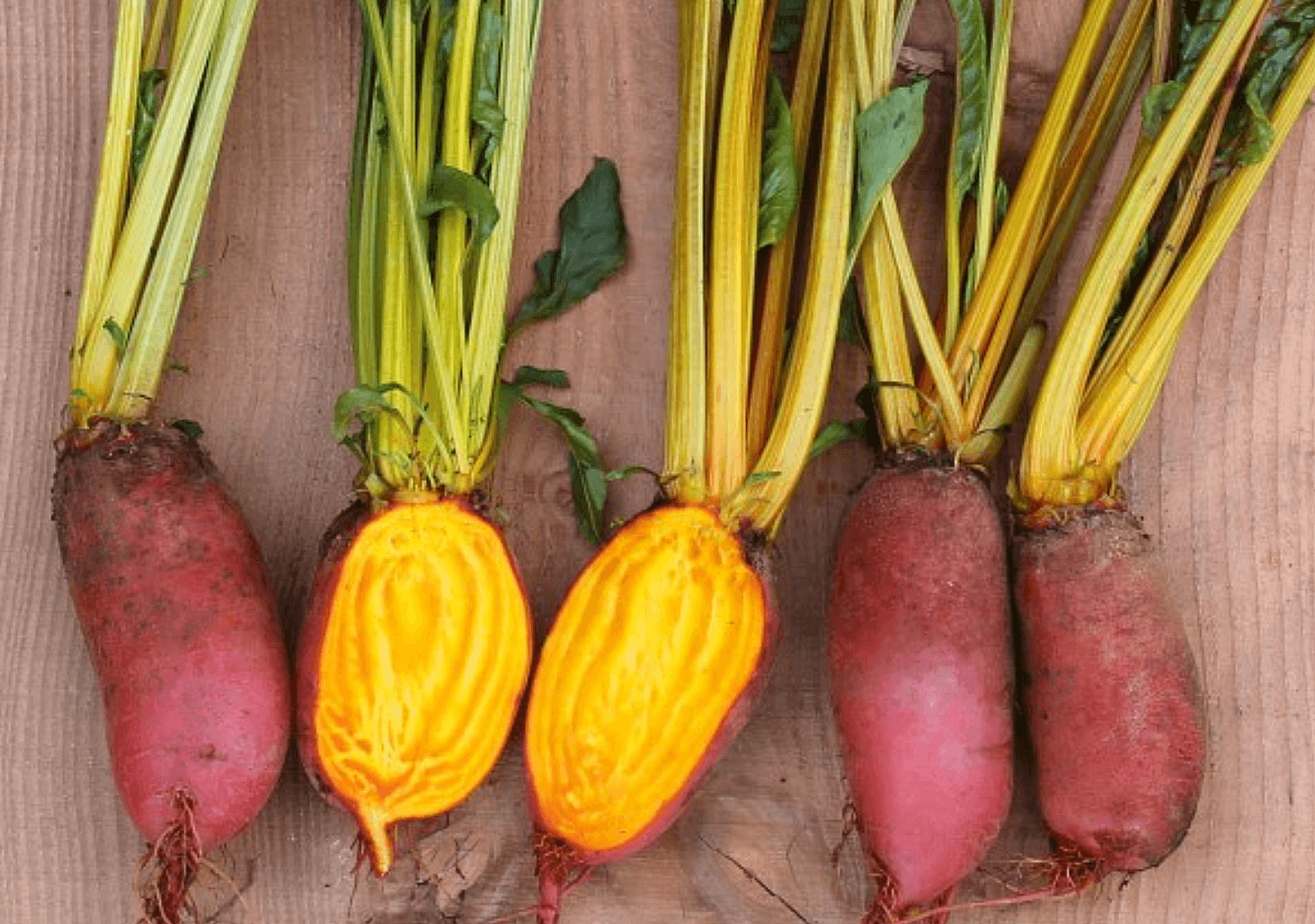 Beetroot [Flaming Barrel]
