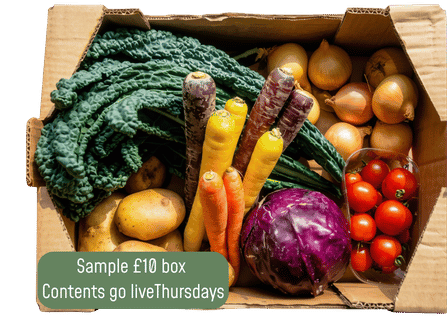 Image of Small Veg Box