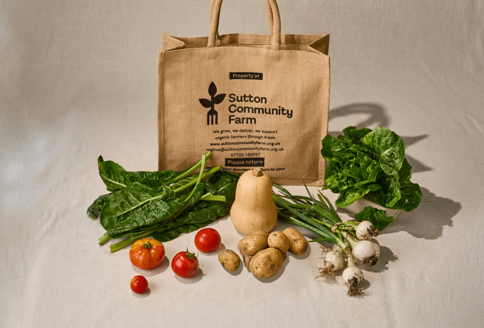 Small Veg Box