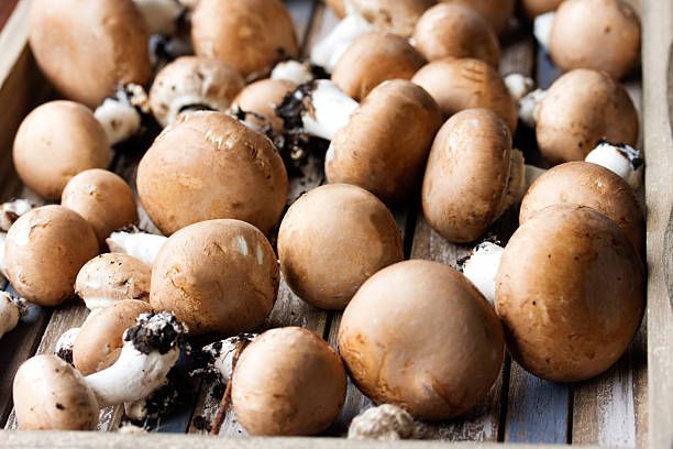 Image of Organic Chestnut Mushrooms
