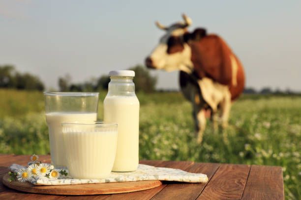 Image of Farm-Fresh Dairy