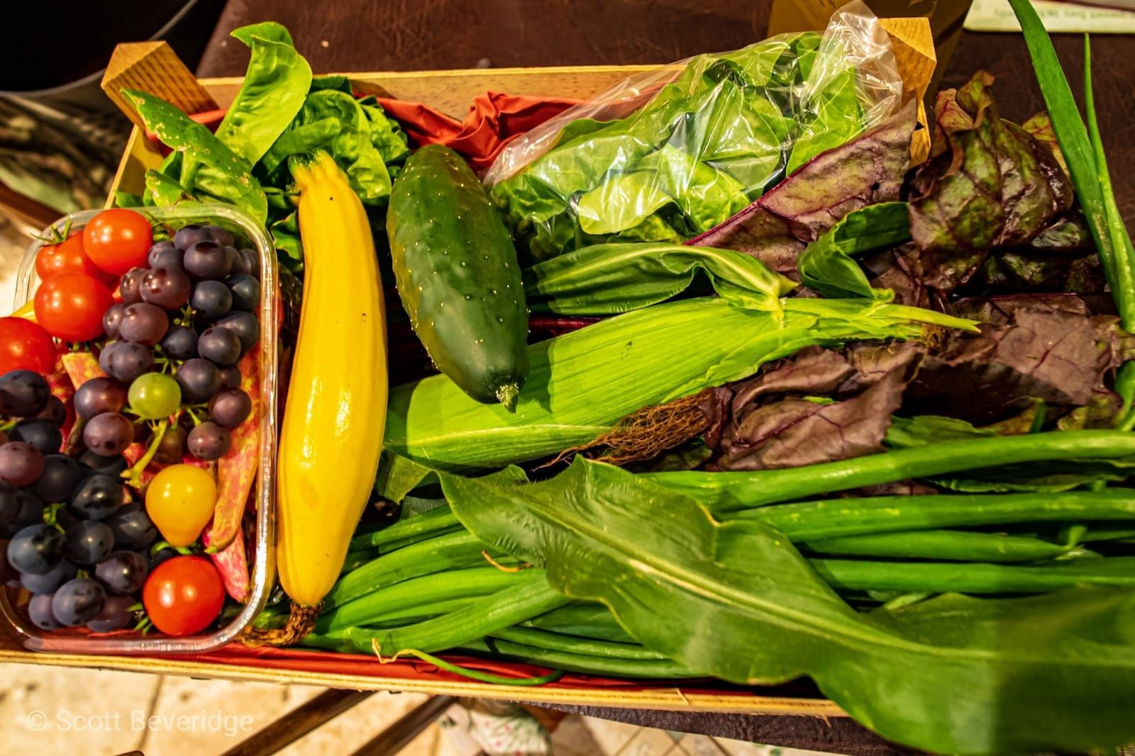 Image of Extra Large Vegbox