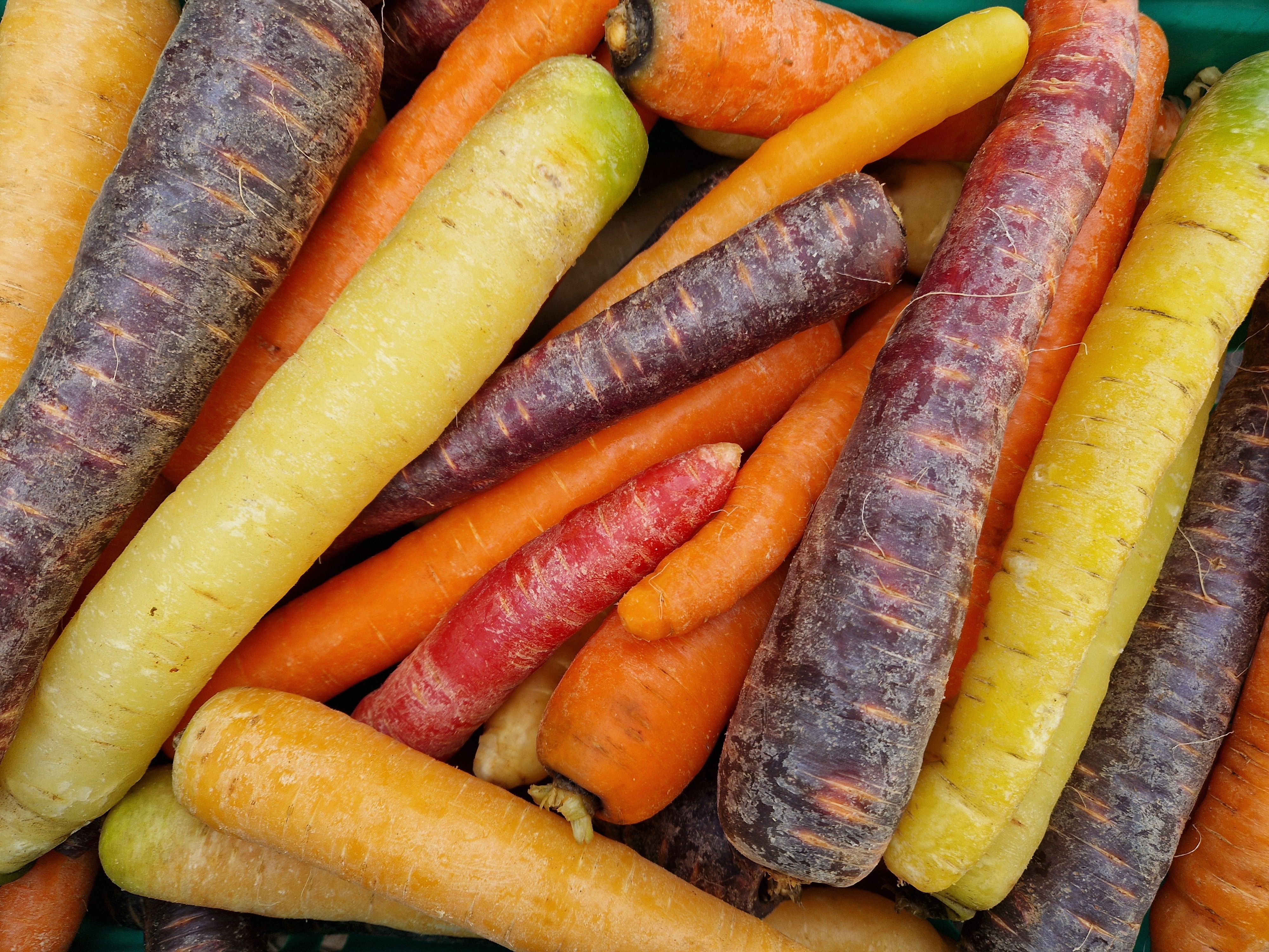 Image of Carrots Rainbow