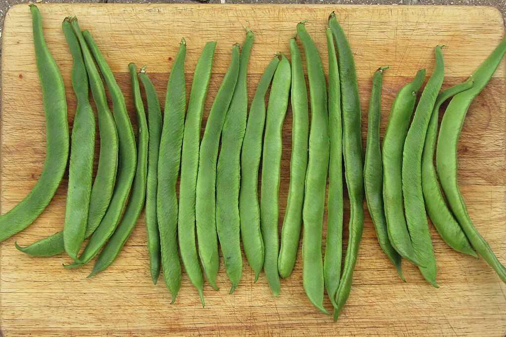 Runner Beans