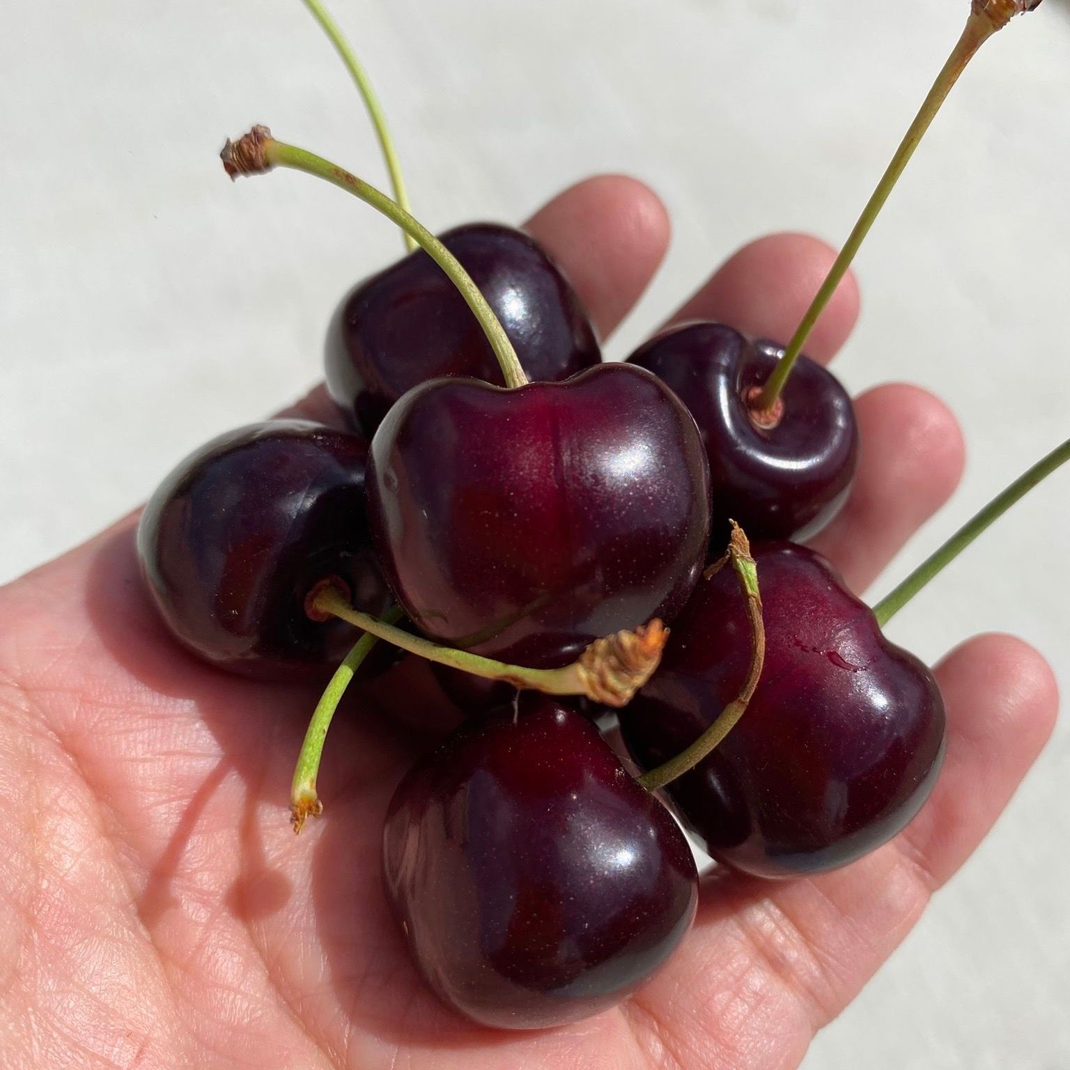 Cherries