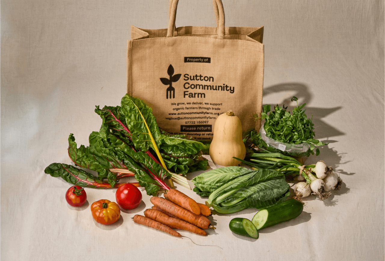 Medium Veg Box (no potatoes)