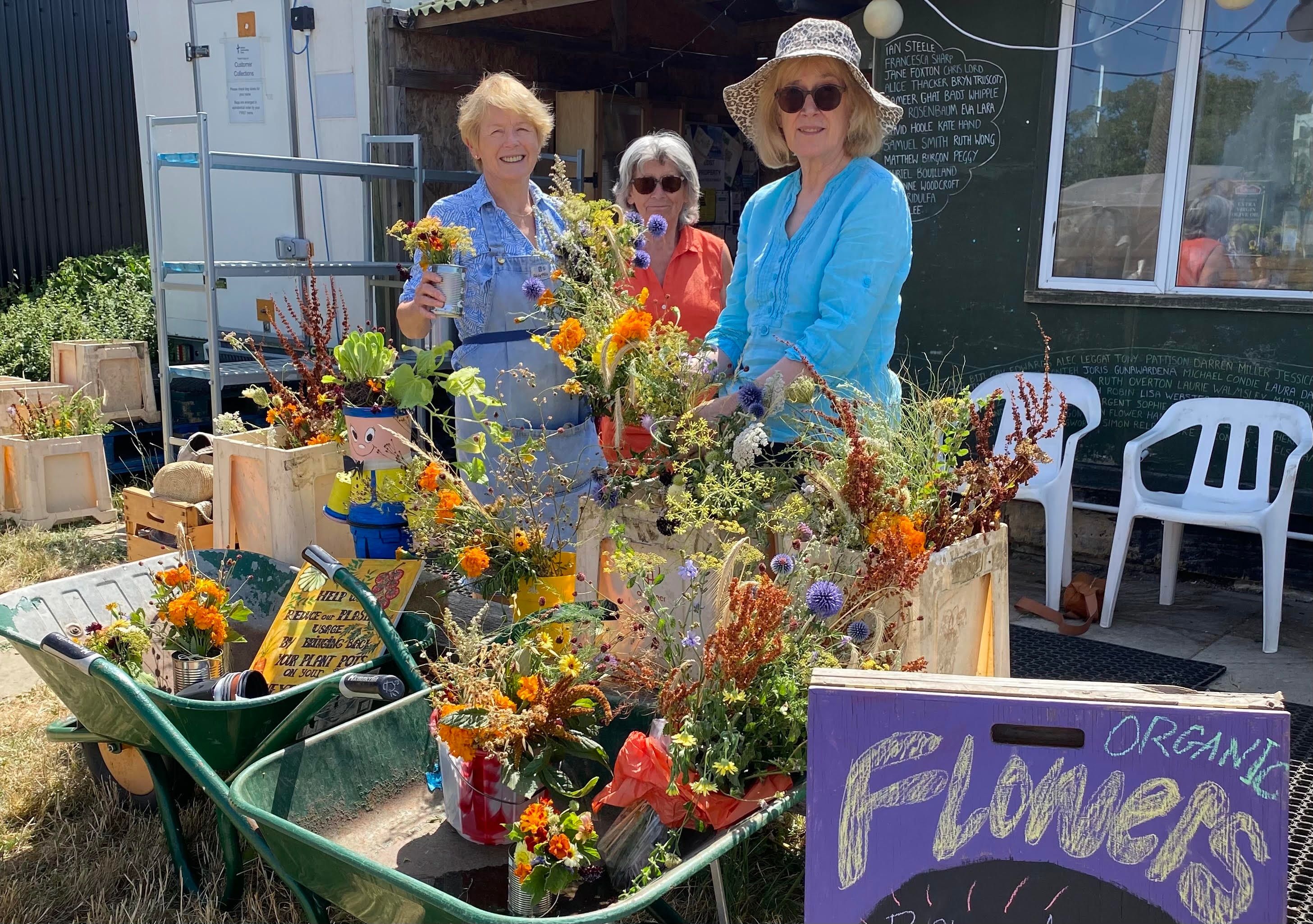 Image of Fresh Cut Flowers