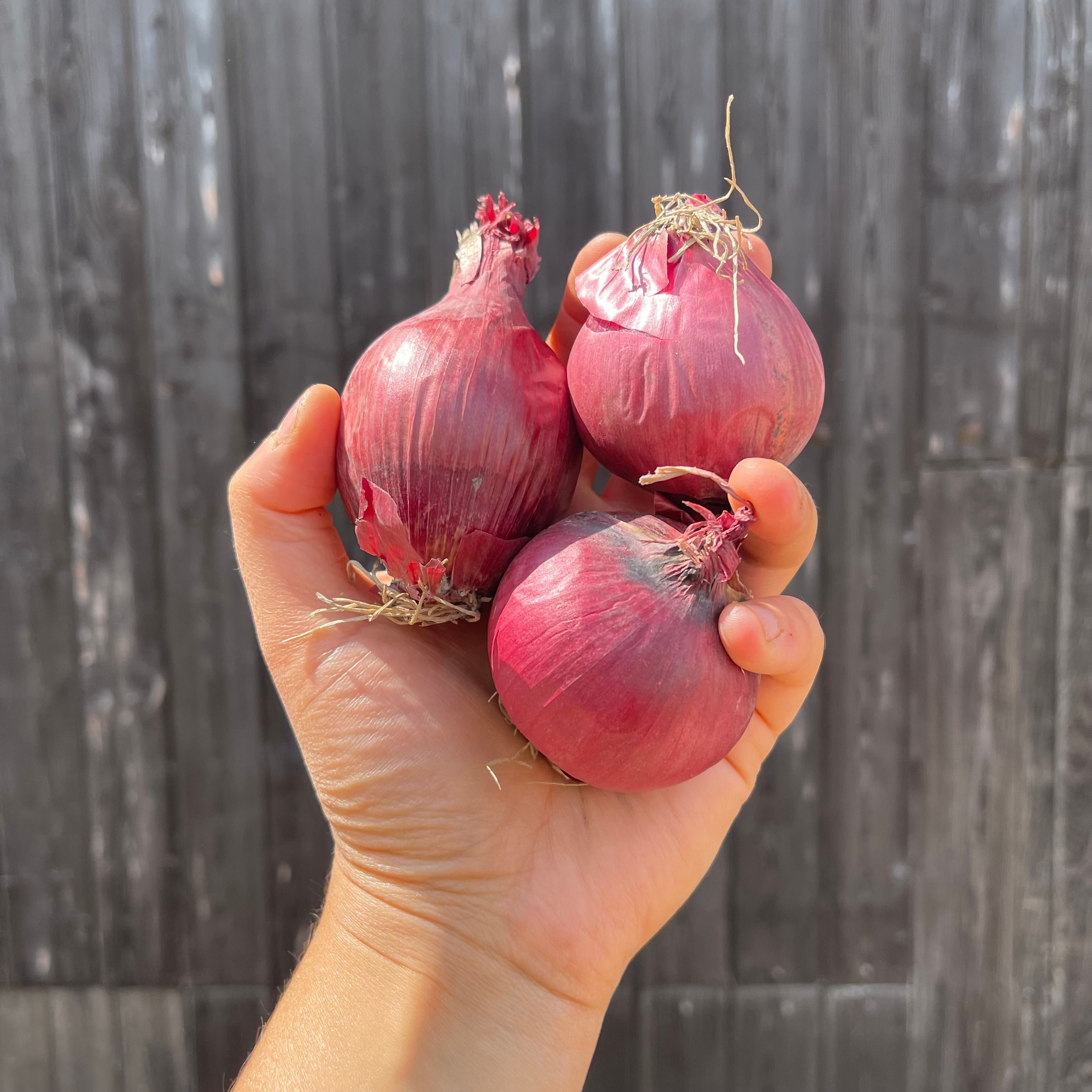 Image of Red Onions