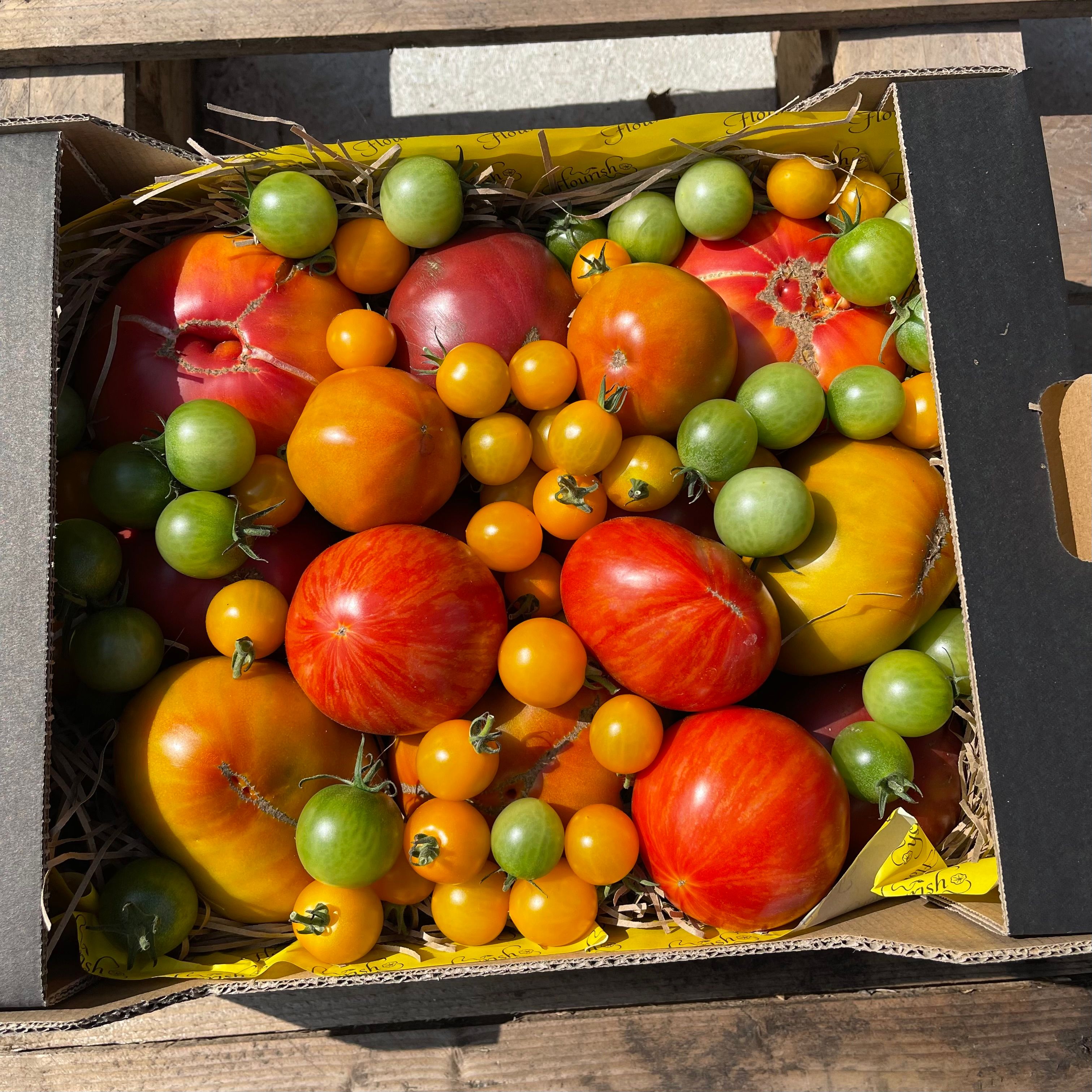 Image of Bountiful Summer Box -
 Flourish Tomatoes (5kg)