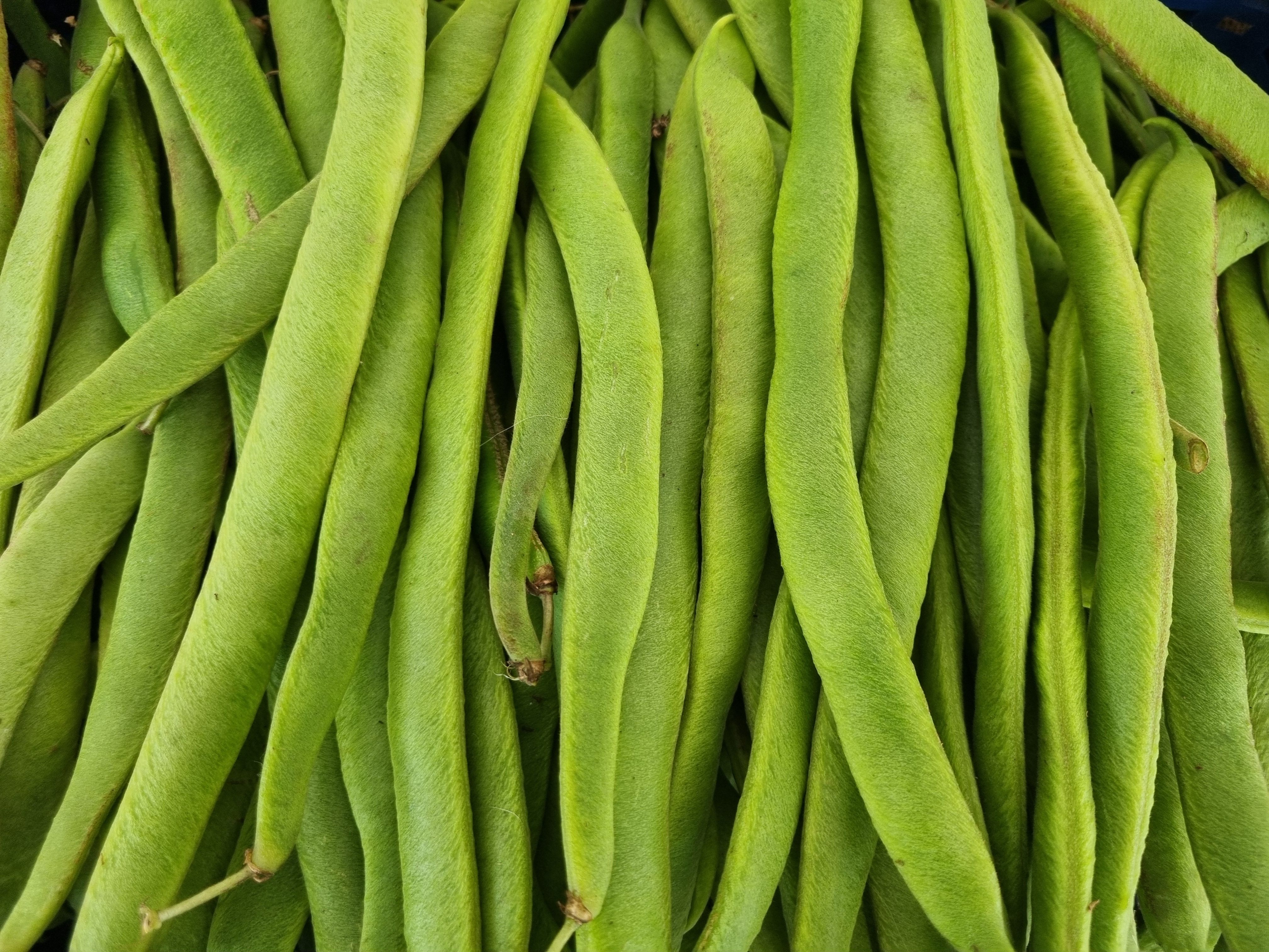 Image of Terms and Conditions