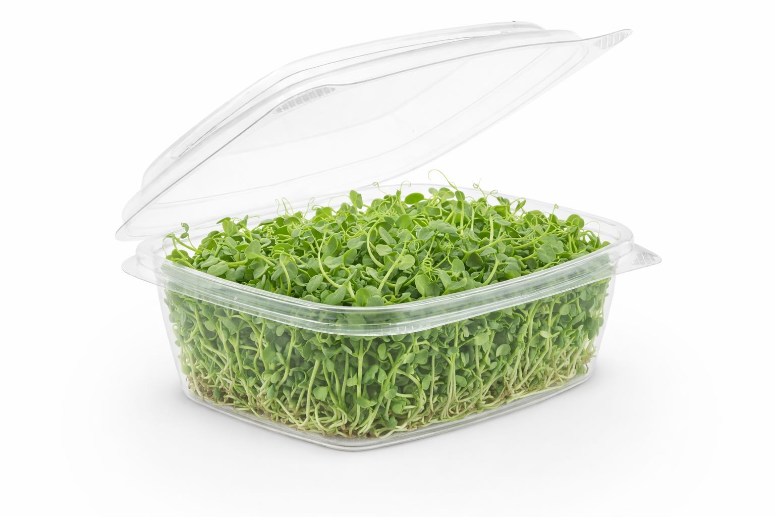 Image of Pea Shoots