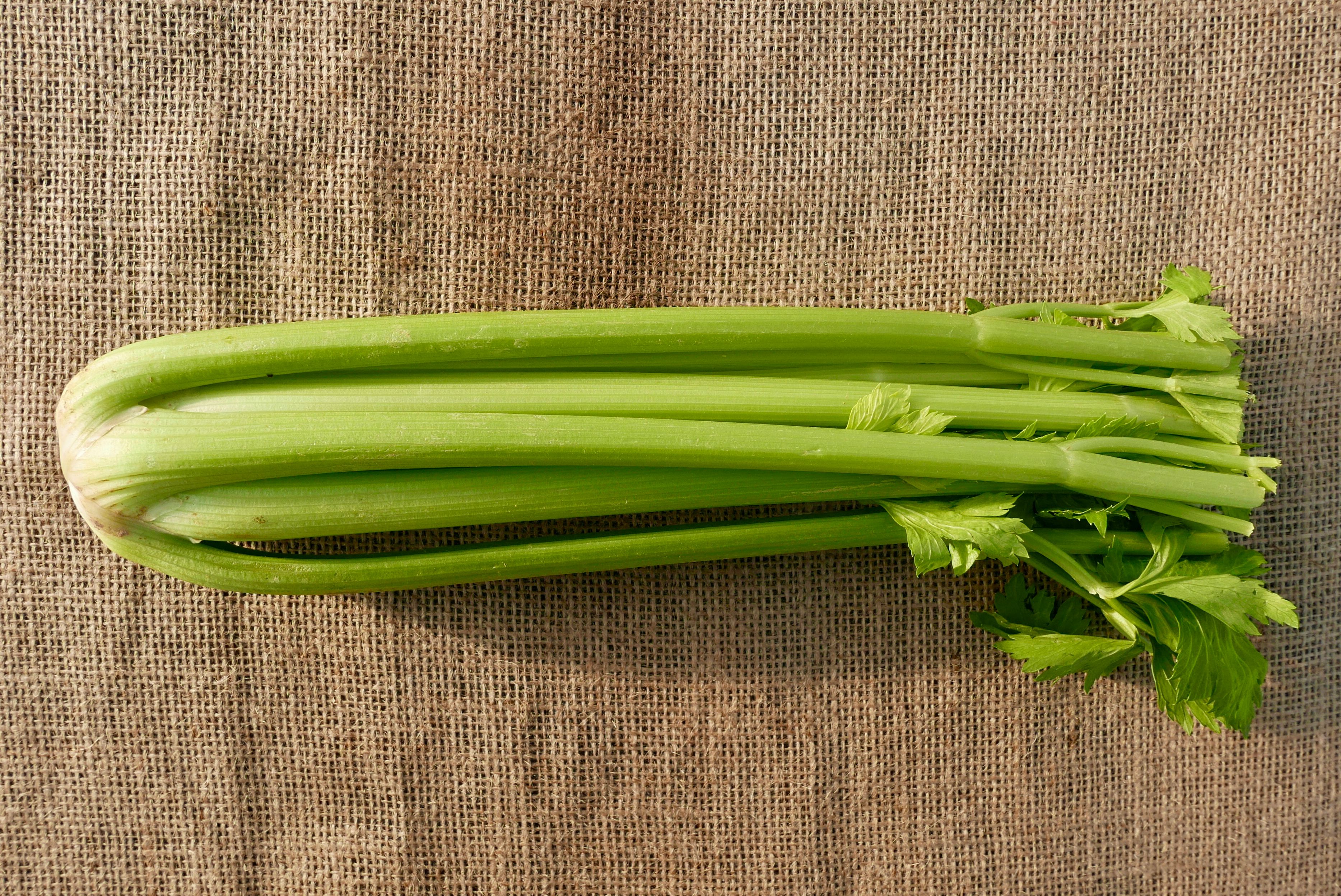 Celery