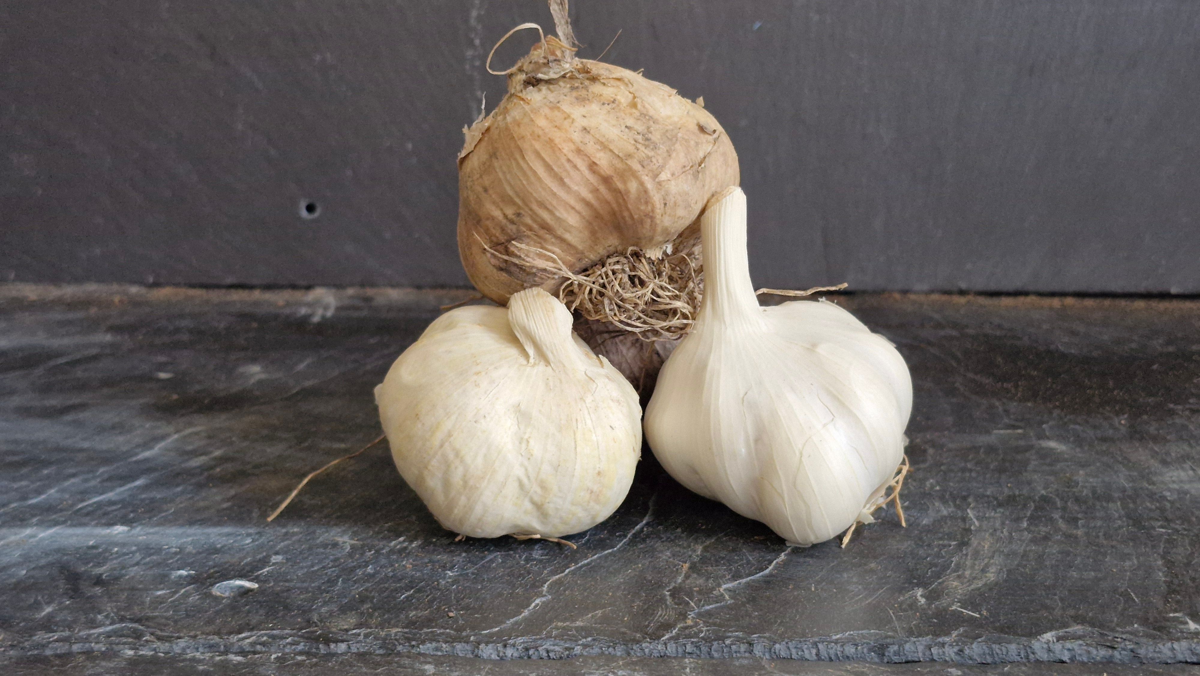 Image of Garlic 