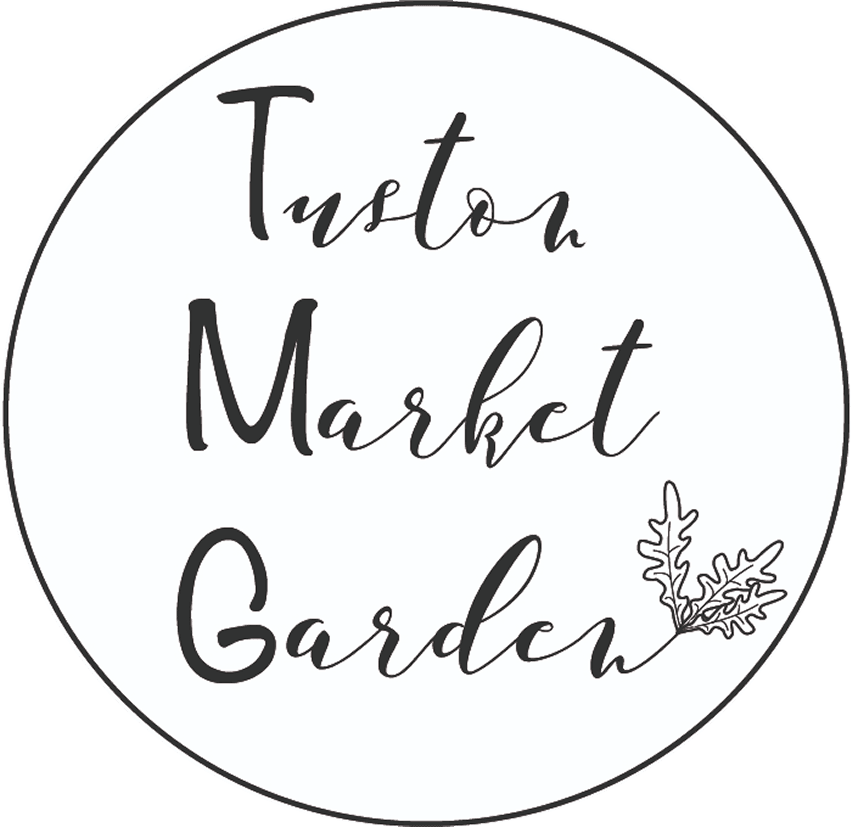 Tuston Logo