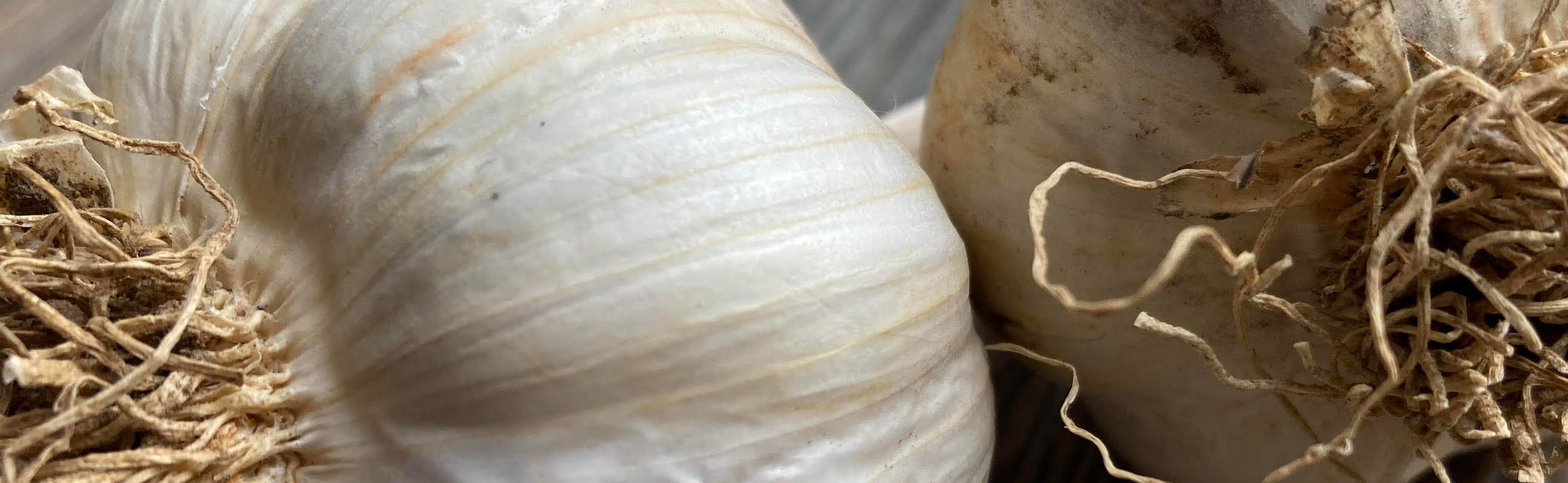 Image of Fresh Garlic x 2