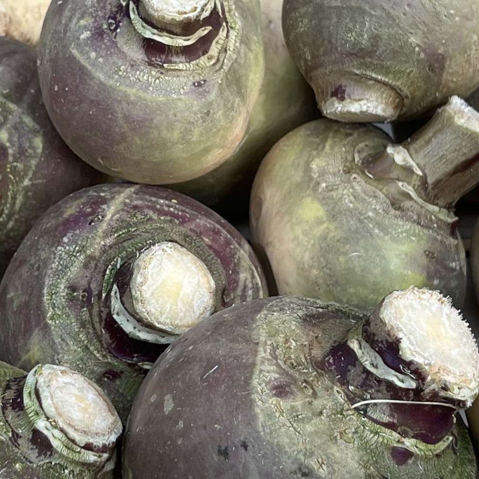 Image of Swede (Organic)
(1 Qty)