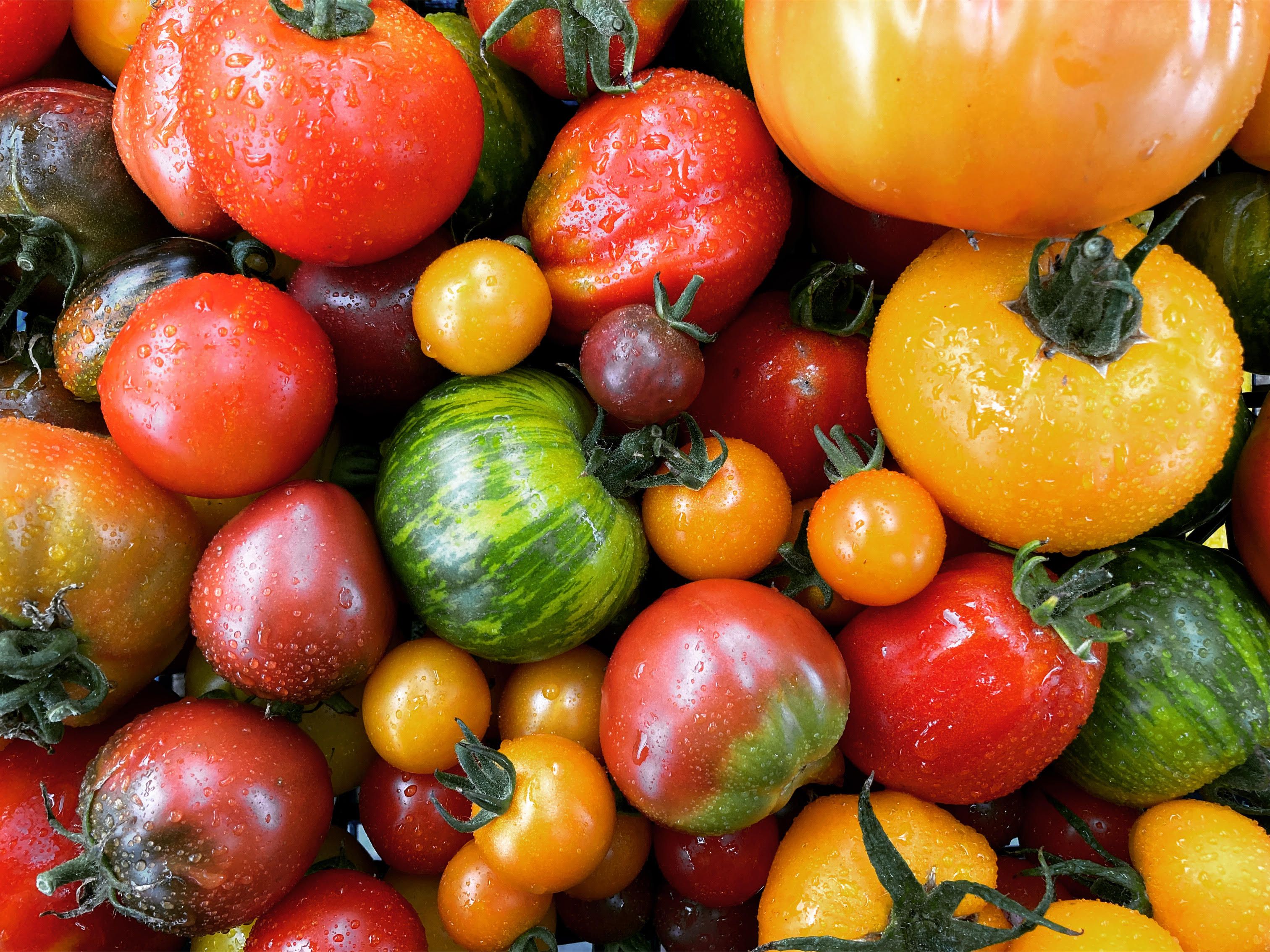 Image of Organic vegetables, fruit & meat - buy online & collect from the farm