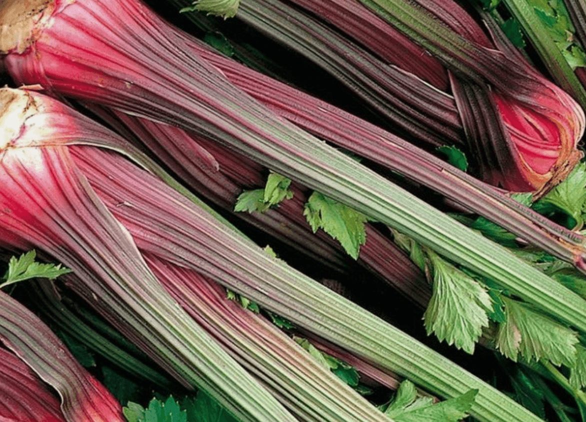 Celery [Redventure]