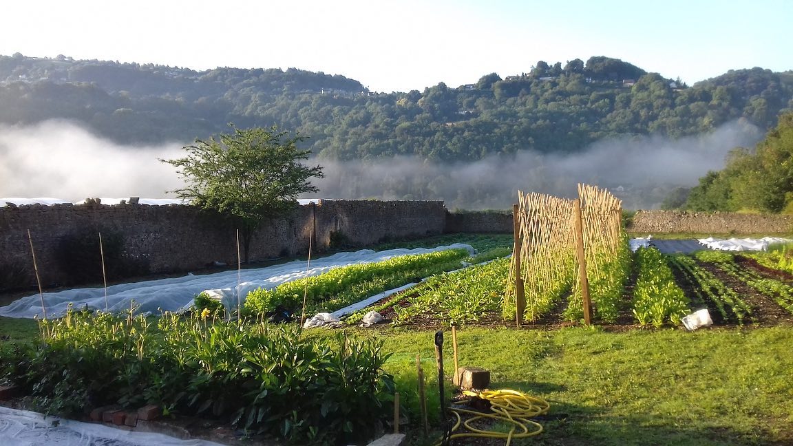 Image of Sign Up to Our Weekly Newsletter