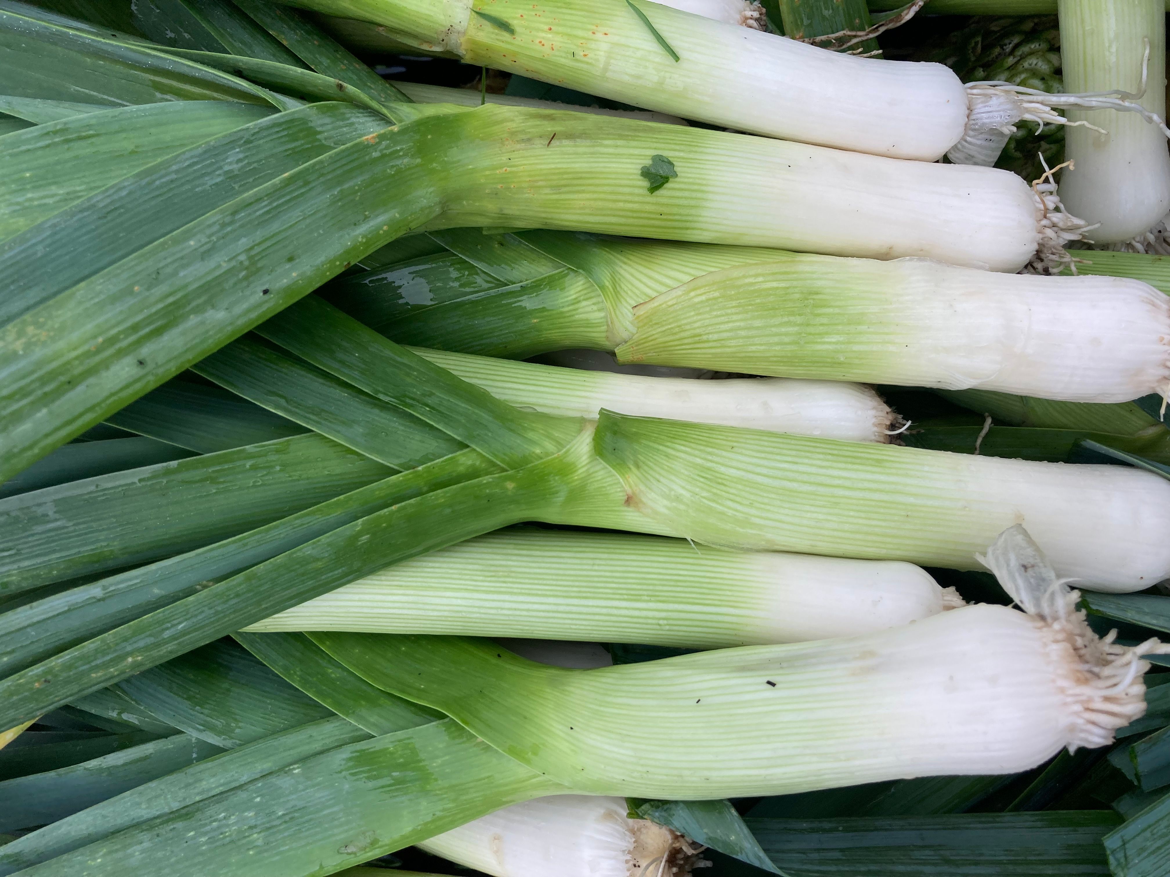 Leeks (500g)