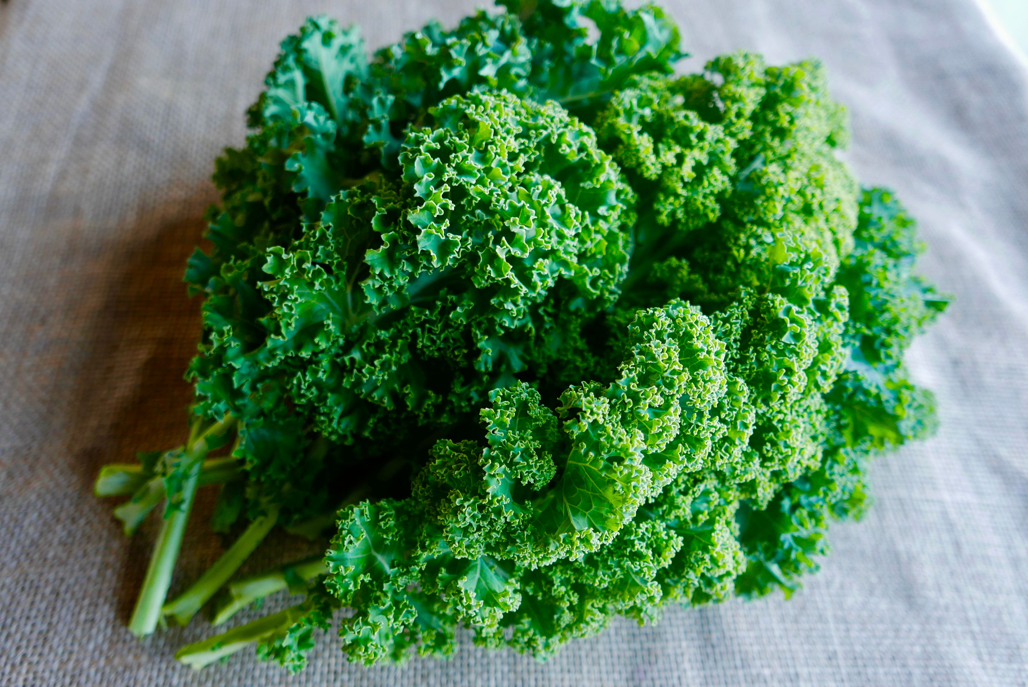 Image of Mixed Kale