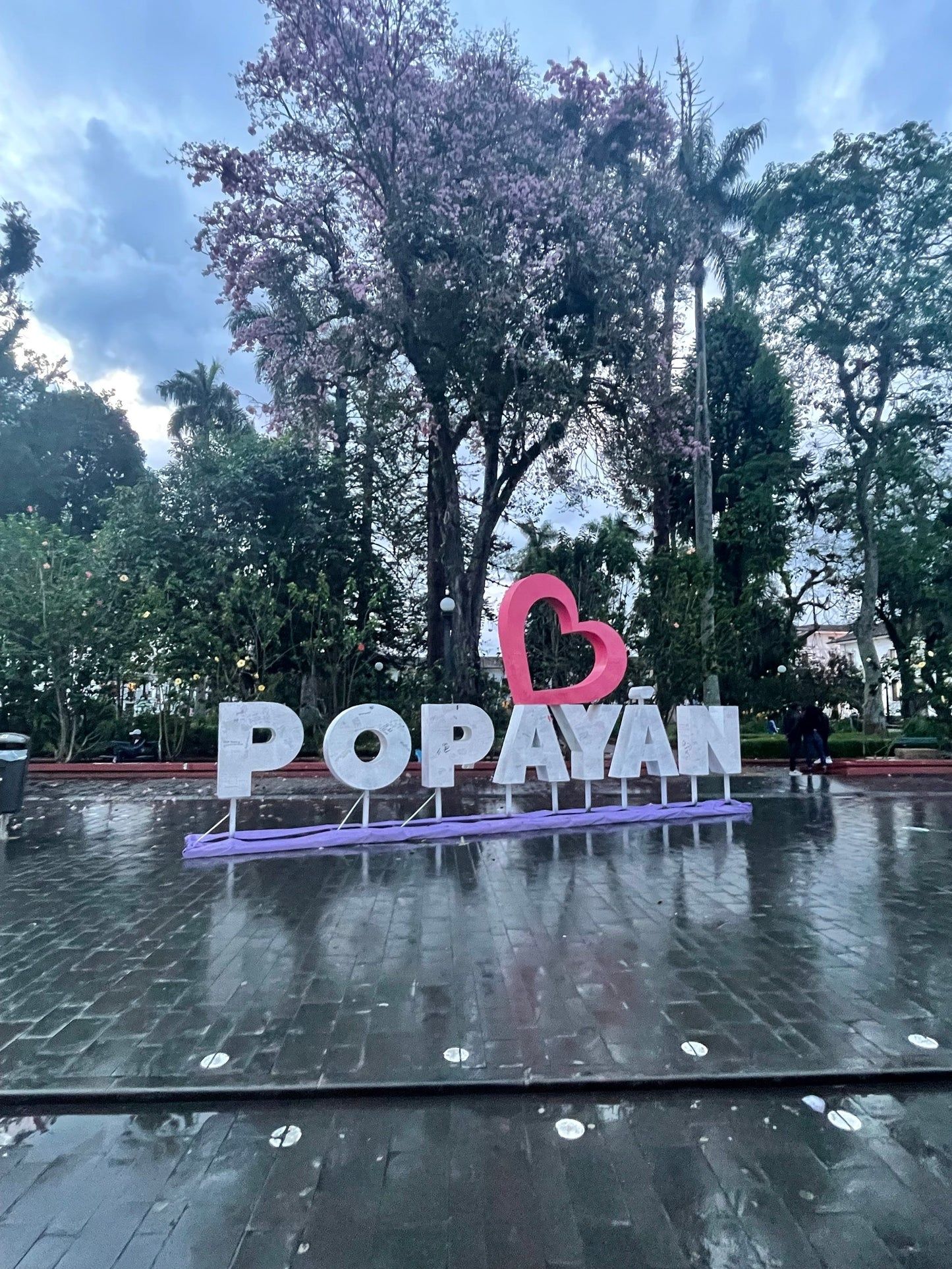 Image of Colombia Popayán Reserve - Coffee