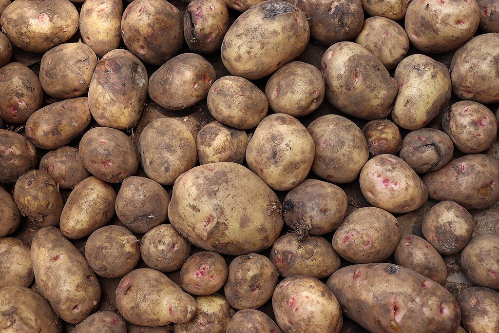 Image of Potatoes, general purpose