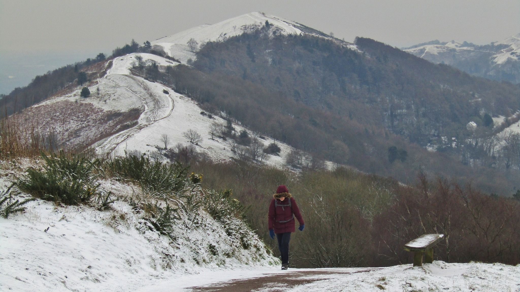 Image of Christmas Box