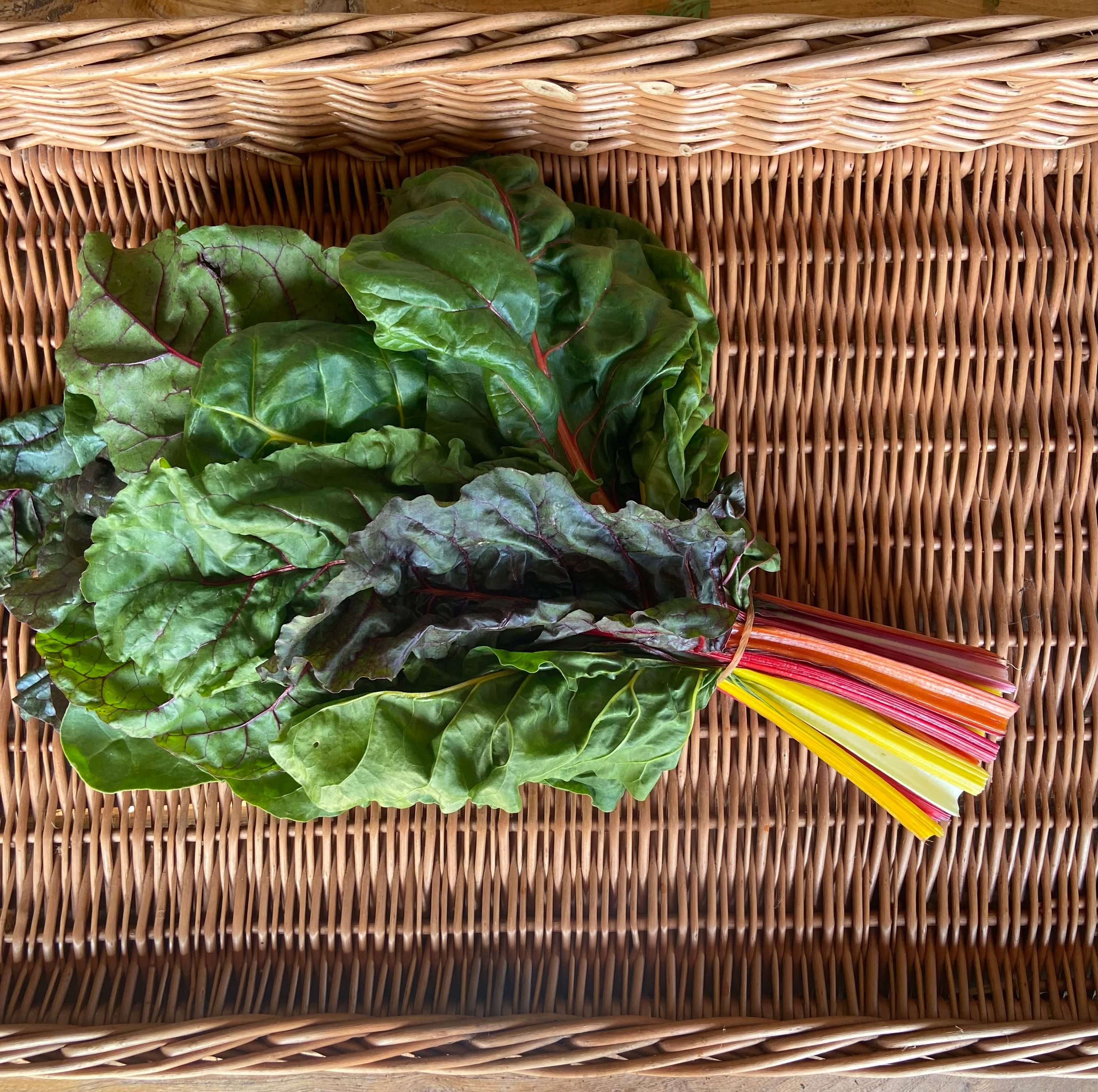 Image of Rainbow Chard