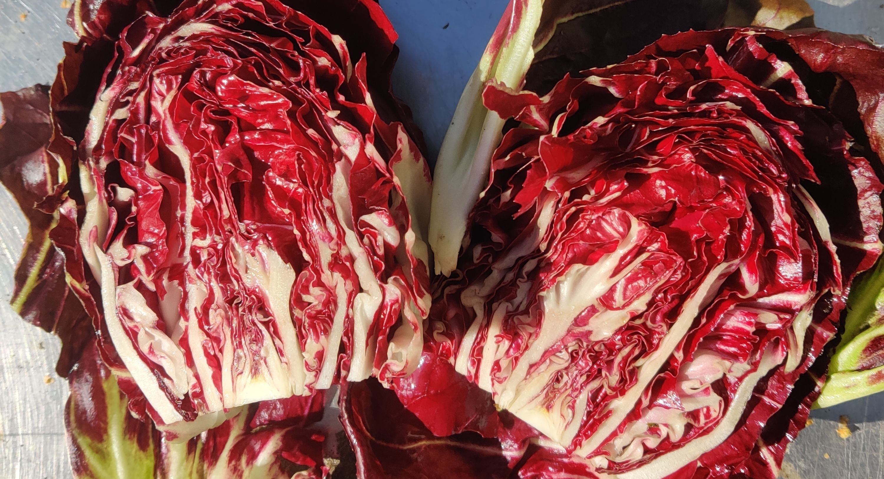 Image of Radicchio, Head
