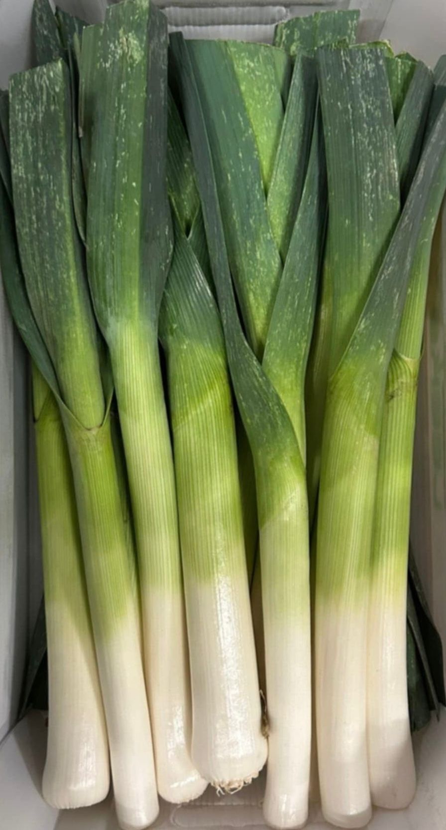 Image of Organic Leeks