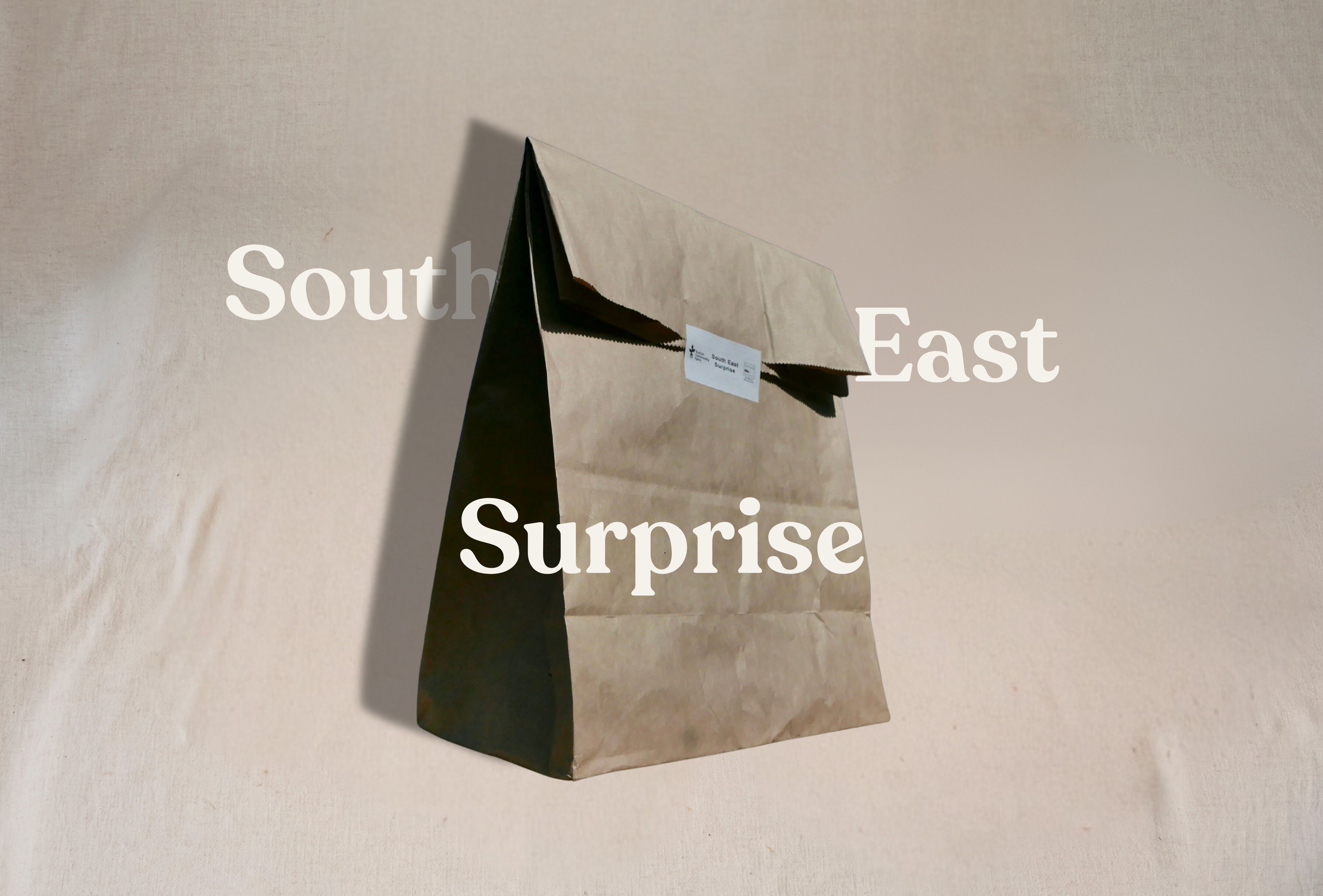 South East Surprise