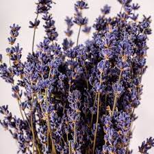 Dried Lavender