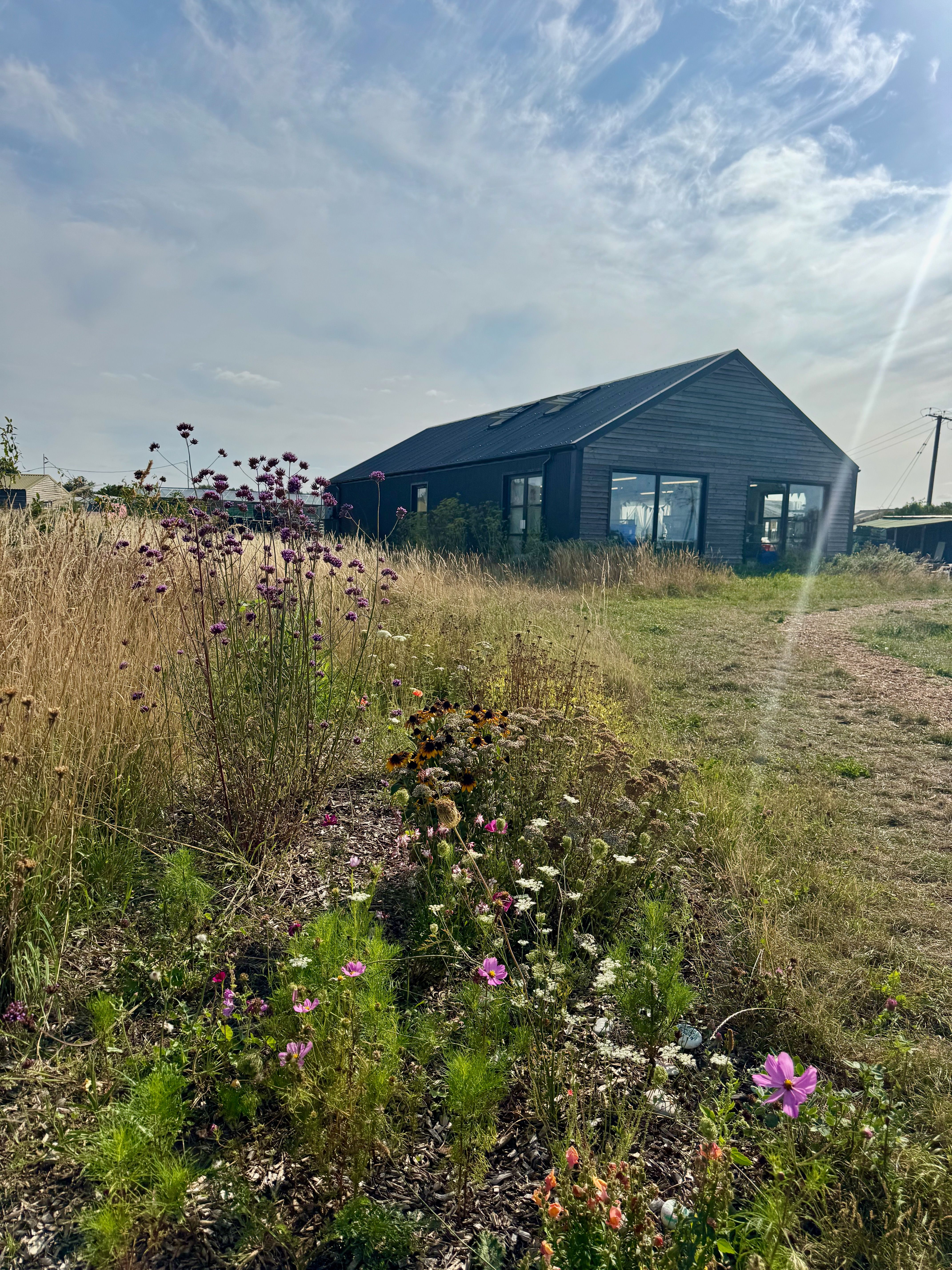 Image of News from the Field