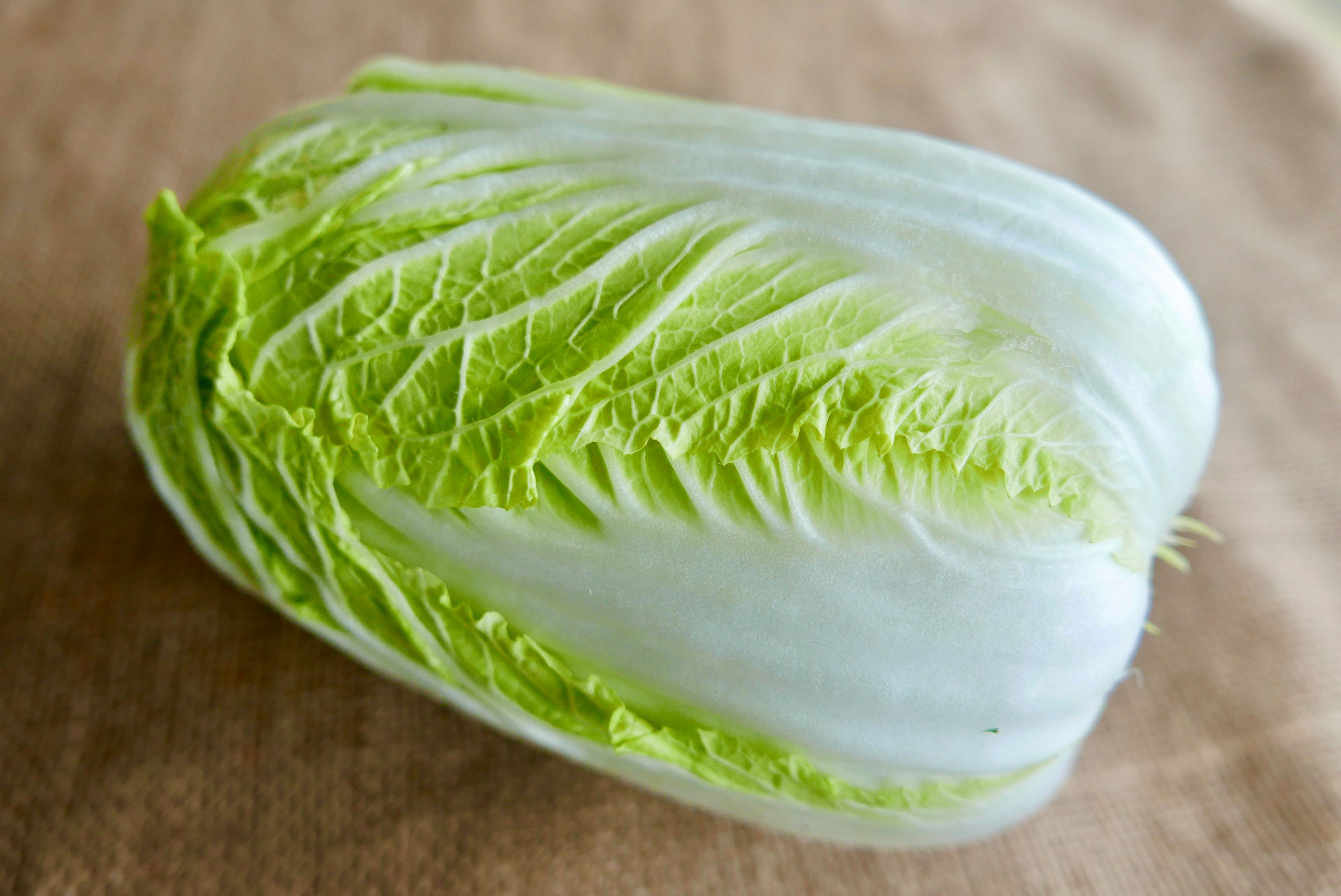 Image of Chinese Leaf Cabbage