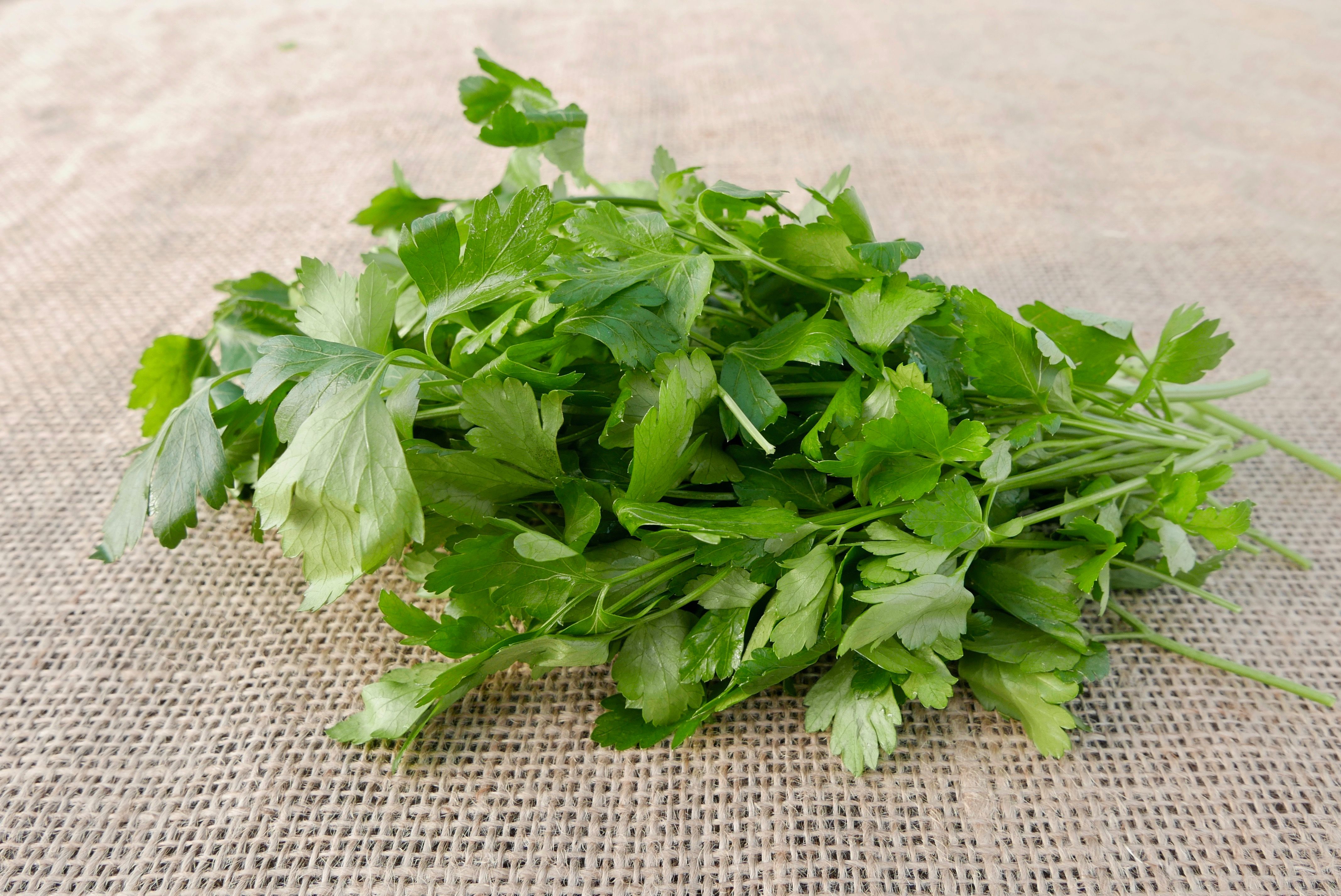 Image of Parsley
