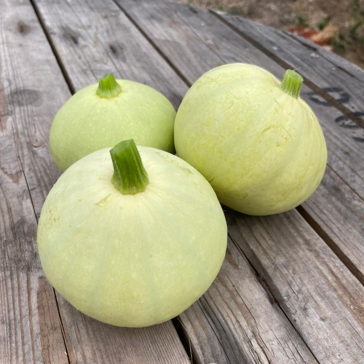 Image of Desi Courgettes