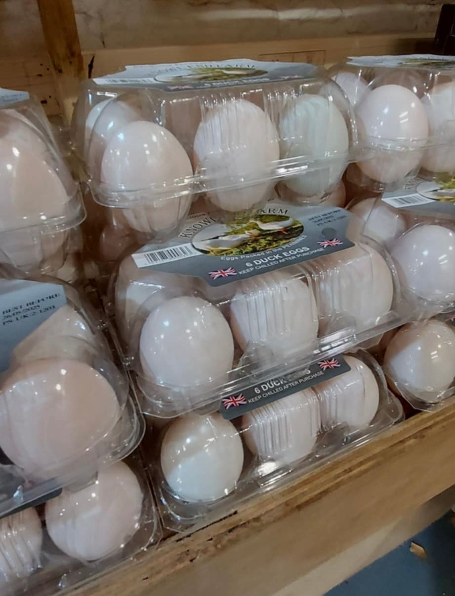 Image of Duck eggs