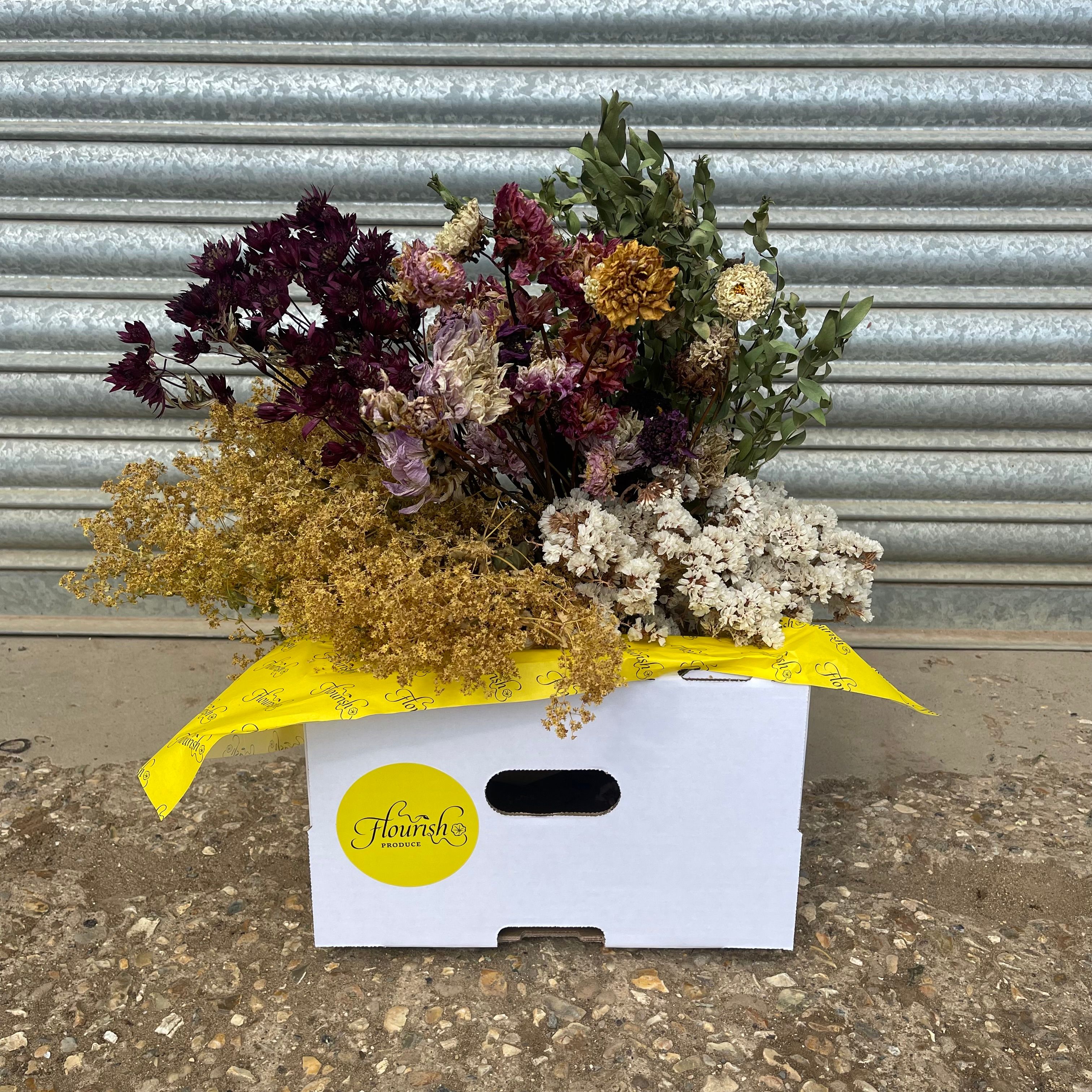 Everlasting Dried Flowers (Box)