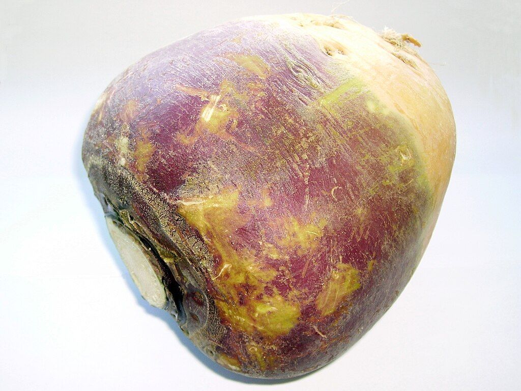 Swede